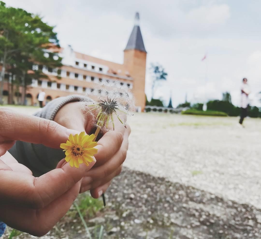 Trường Cao đẳng Sư phạm Đà Lạt ảnh 2 Truong Cao dang Su pham Da Lat anh 2