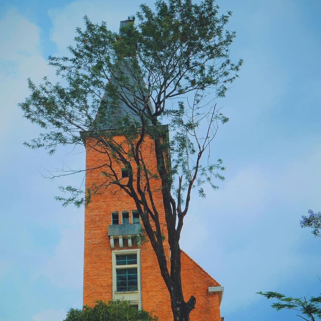 Trường Cao đẳng Sư phạm Đà Lạt ảnh 6 Truong Cao dang Su pham Da Lat anh 6