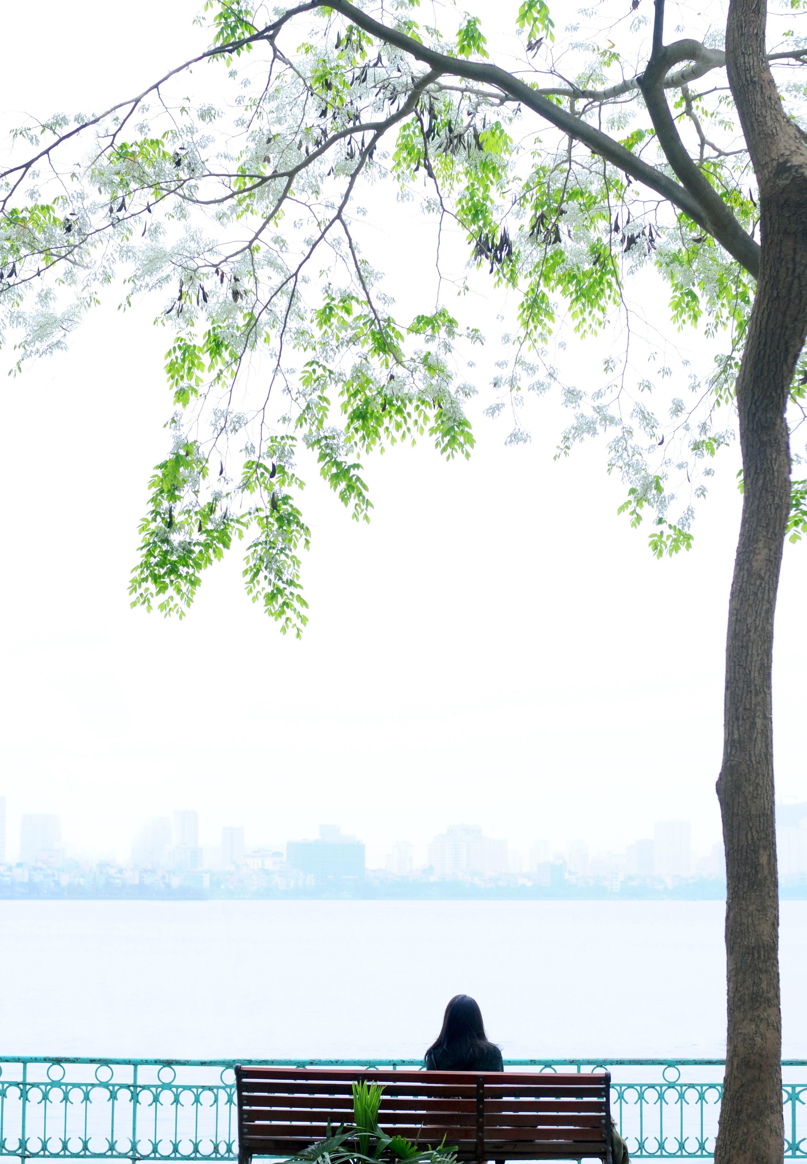 ho Tay tho mong anh 12