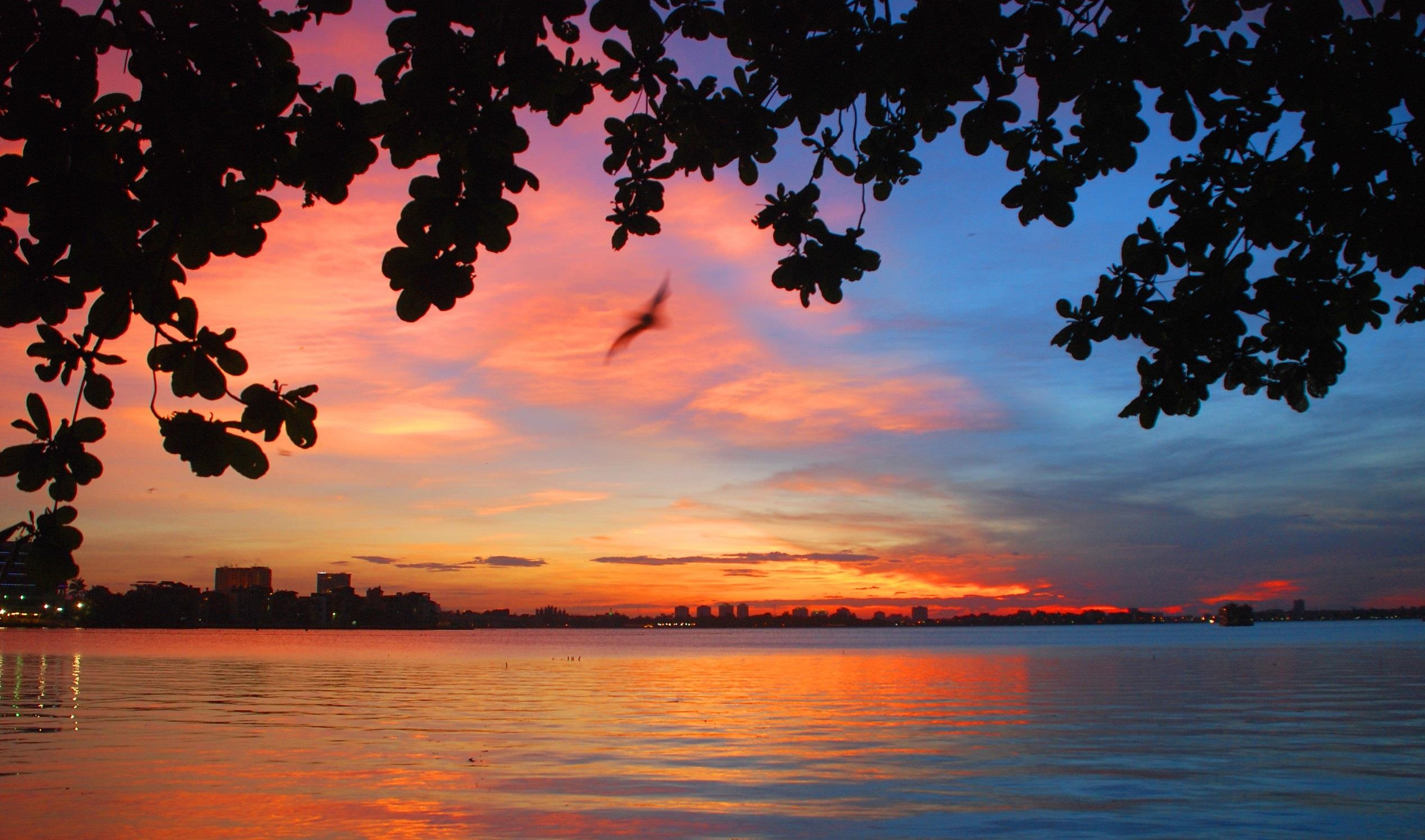 ho Tay tho mong anh 31