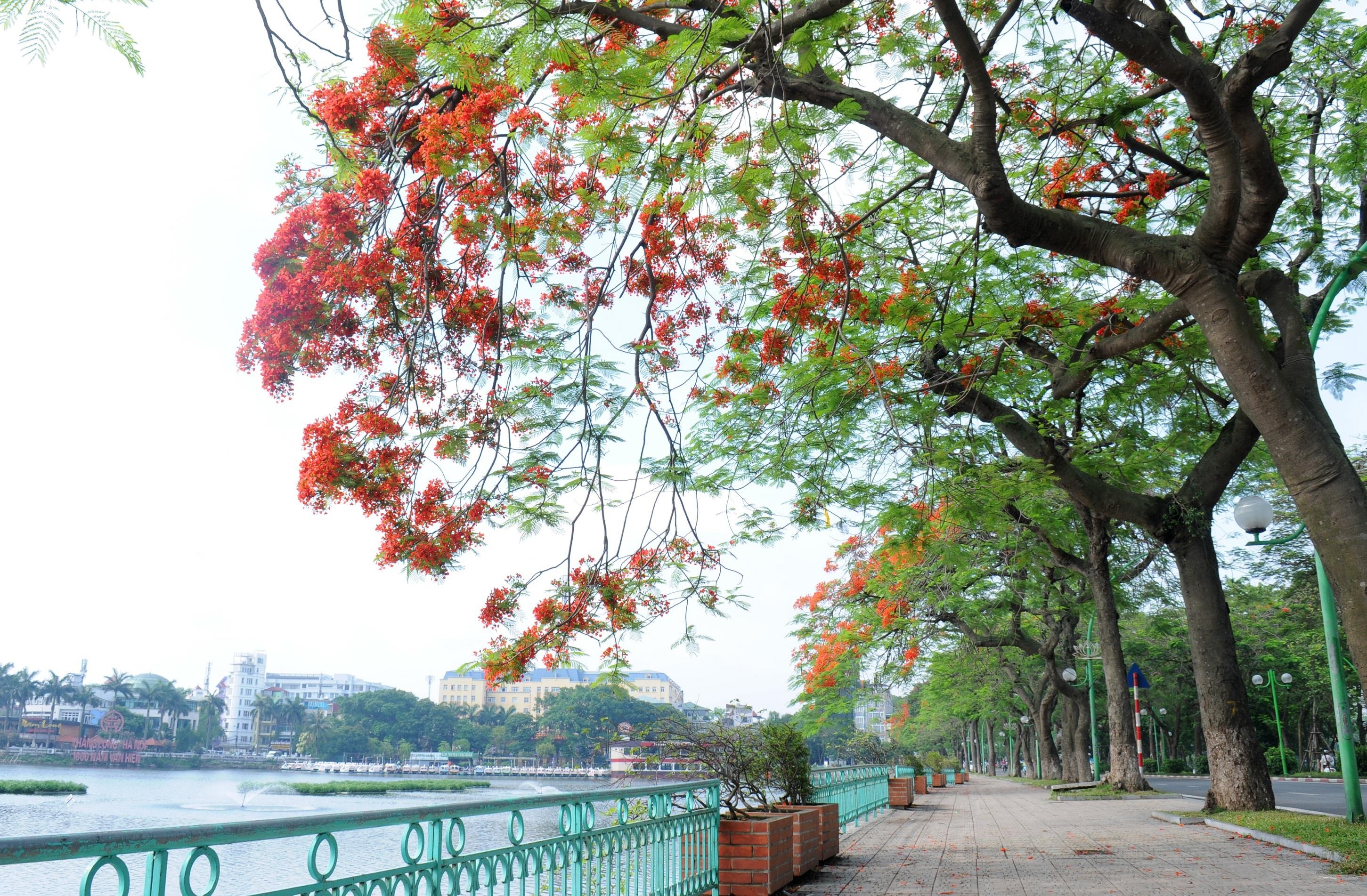 ho Tay tho mong anh 13