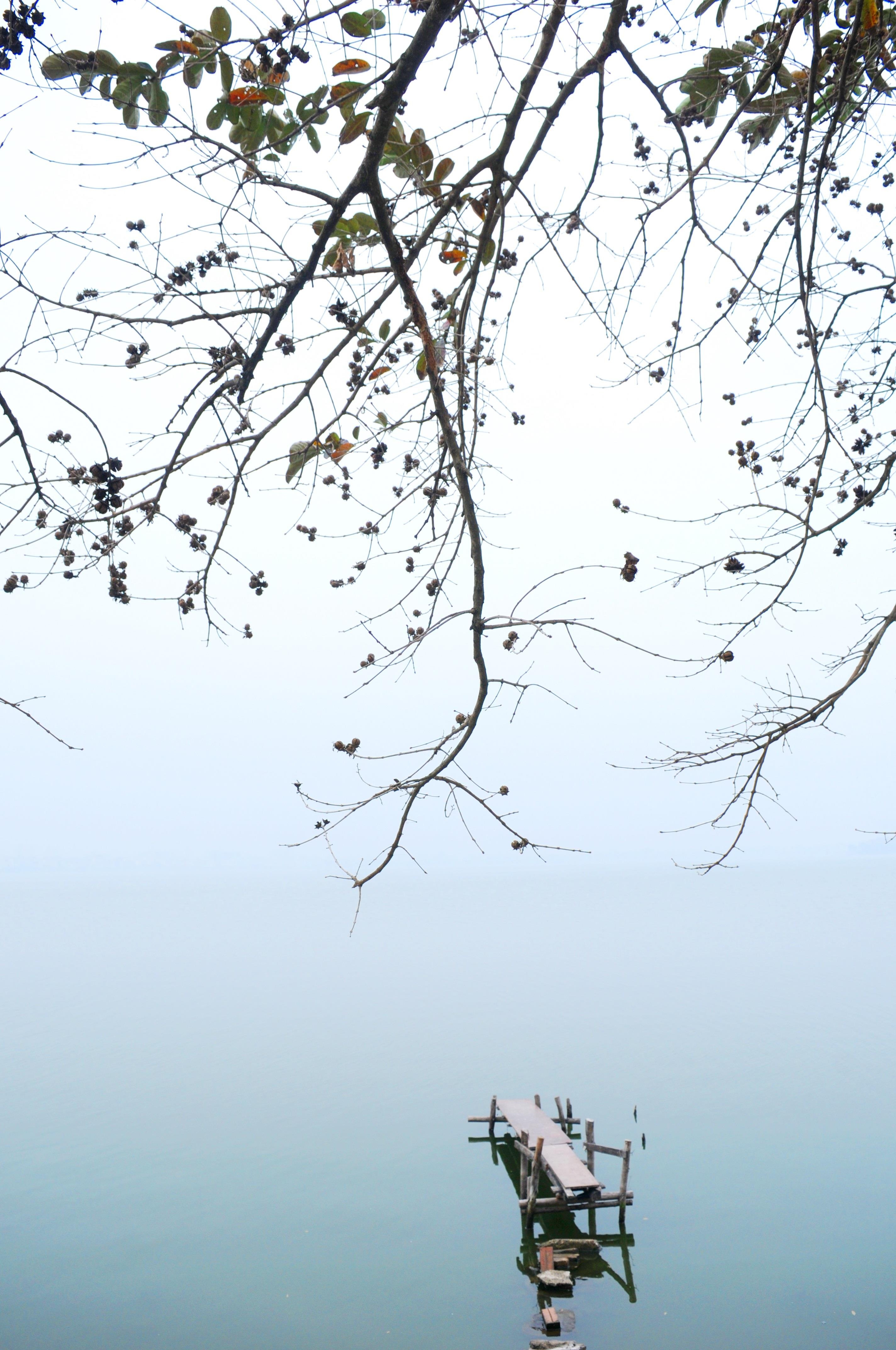 ho Tay tho mong anh 20