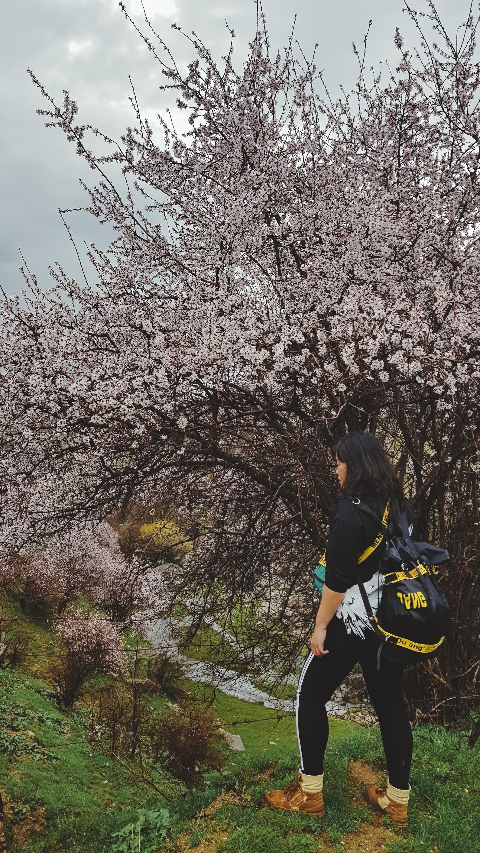 men theo con duong To Lua anh 20