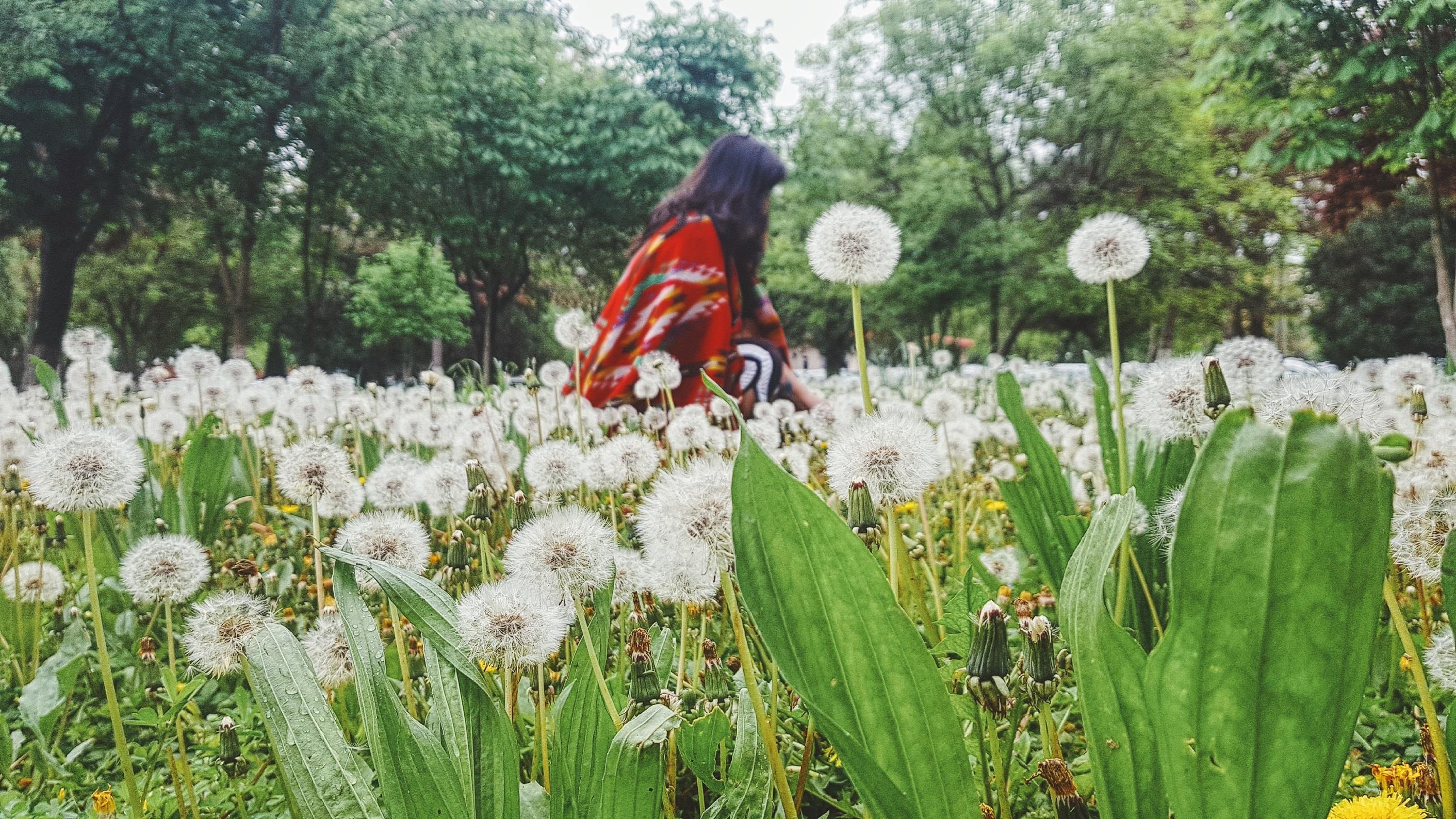 Lan theo con duong To Lua co xua va kham pha den dai o Uzbekistan hinh anh