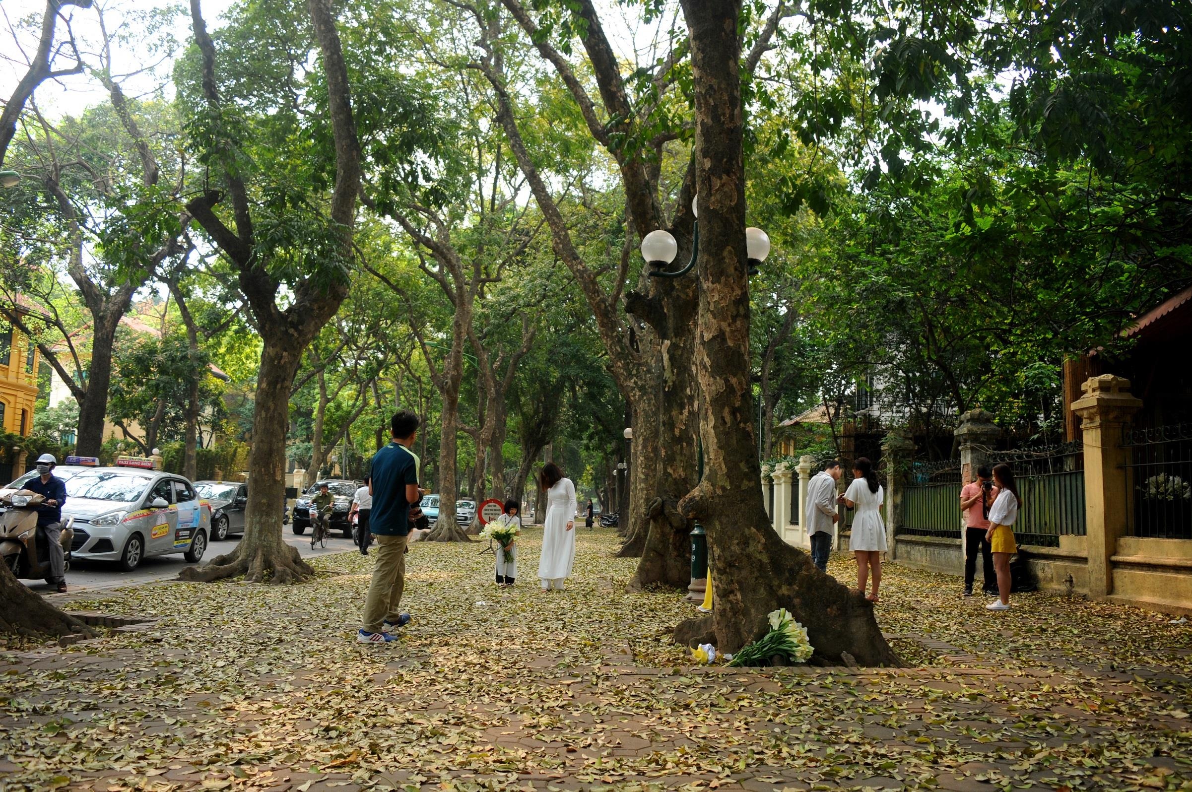 con đường lãng mạn nhất Hà Nội ảnh 16 con duong lang man nhat Ha Noi anh 16