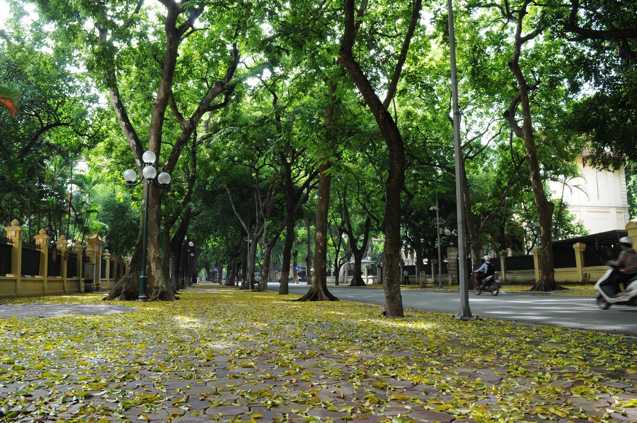 con duong lang man nhat Ha Noi anh 5