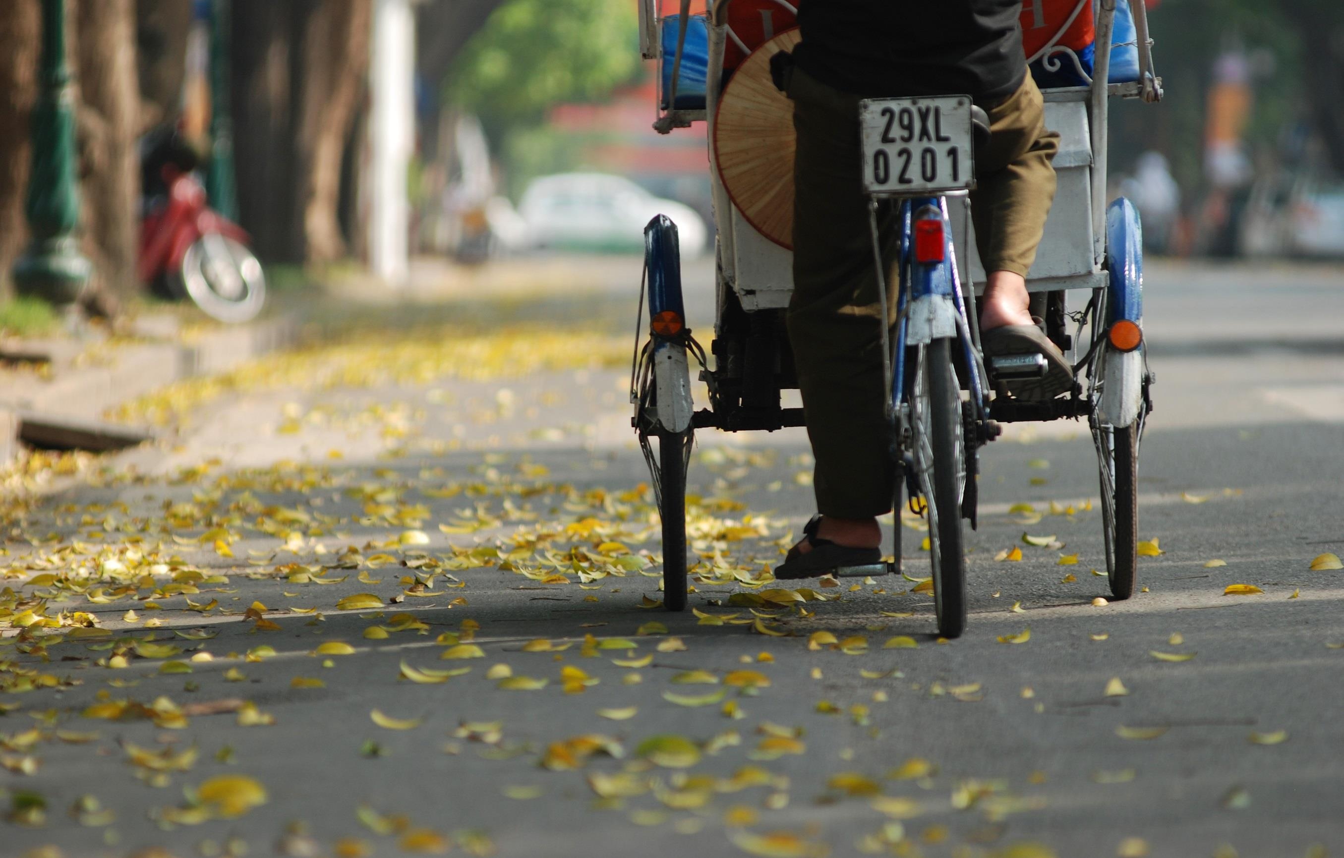 con duong lang man nhat Ha Noi anh 7