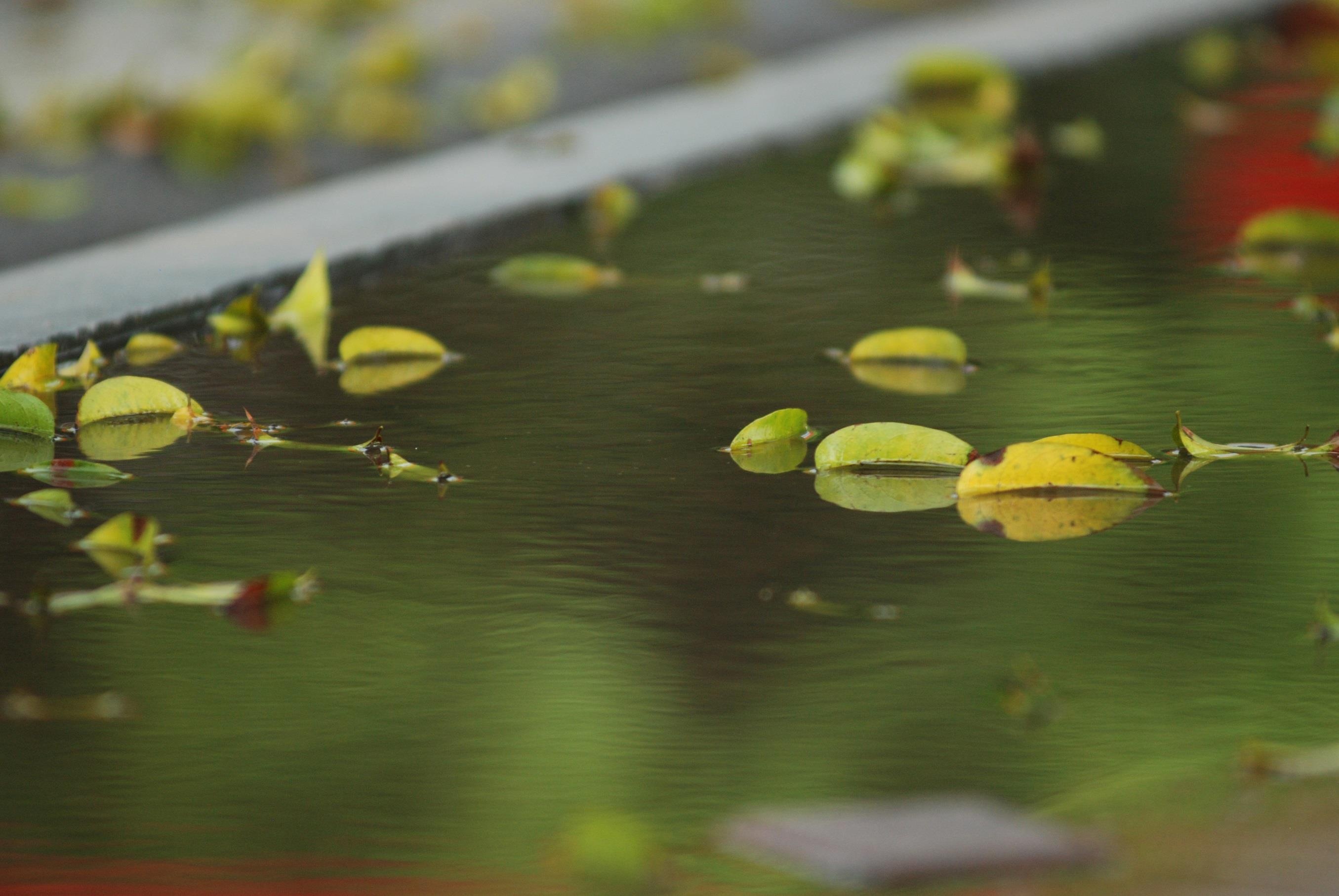 con duong lang man nhat Ha Noi anh 8