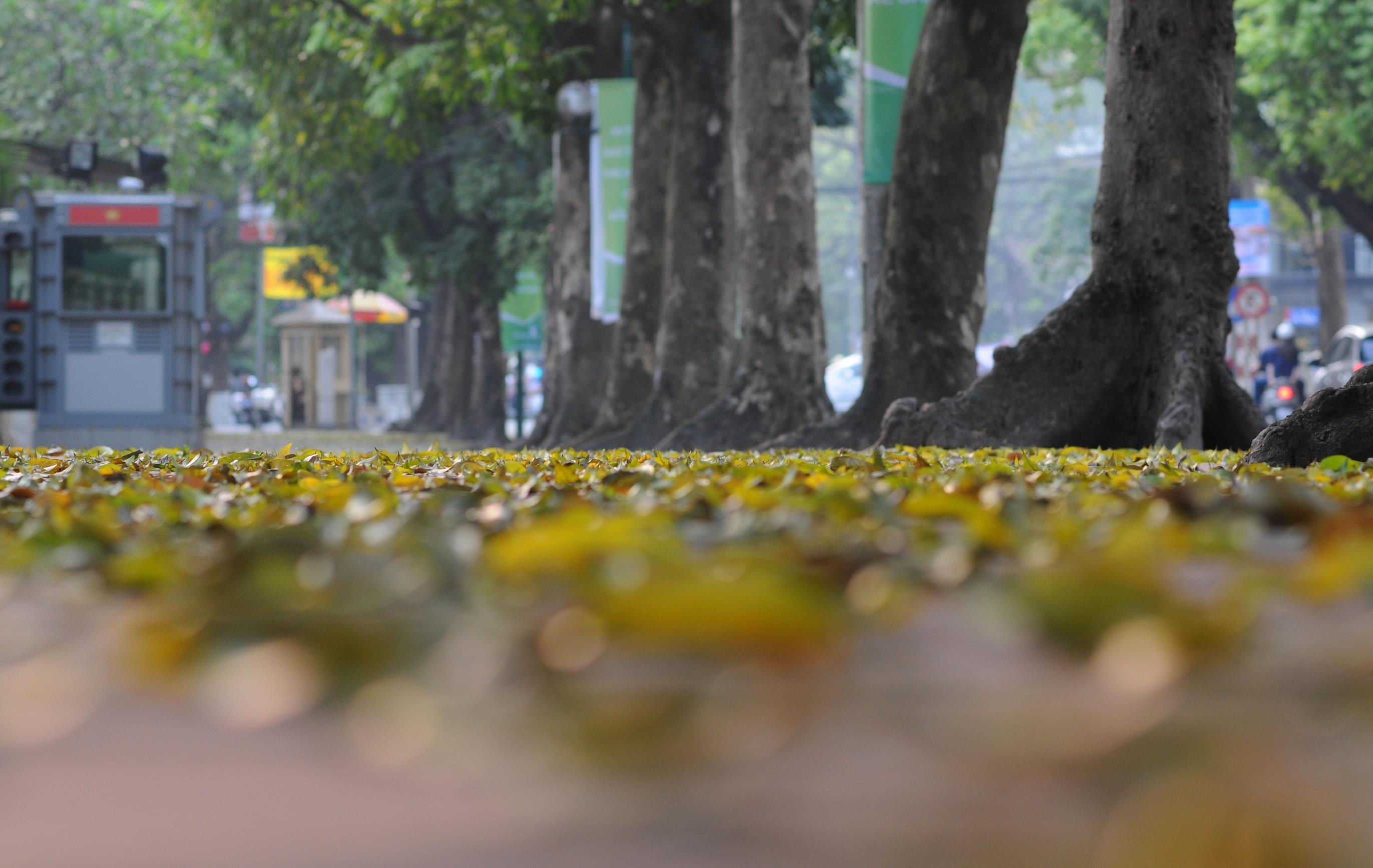 con duong lang man nhat Ha Noi anh 10