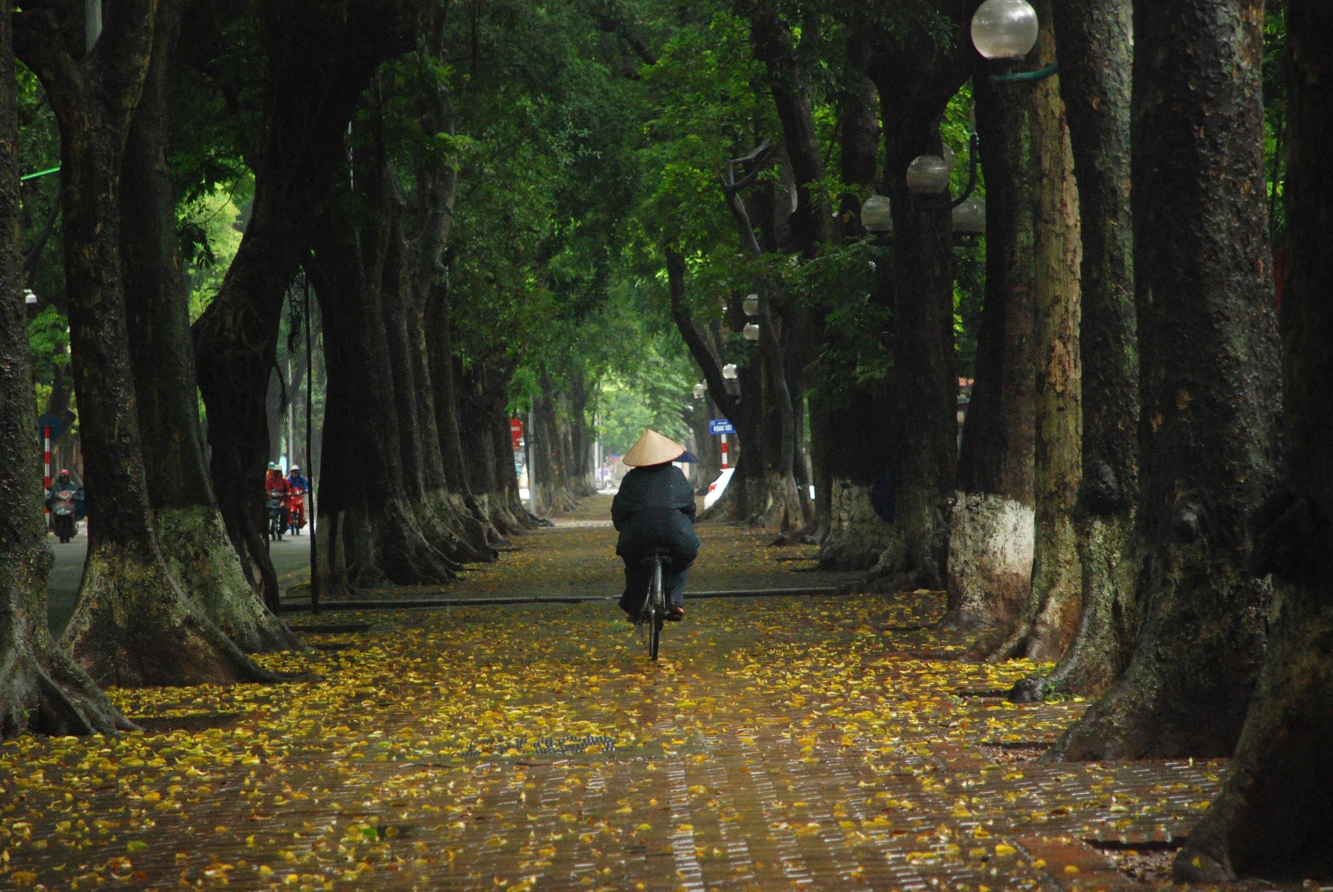 con duong lang man nhat Ha Noi anh 6