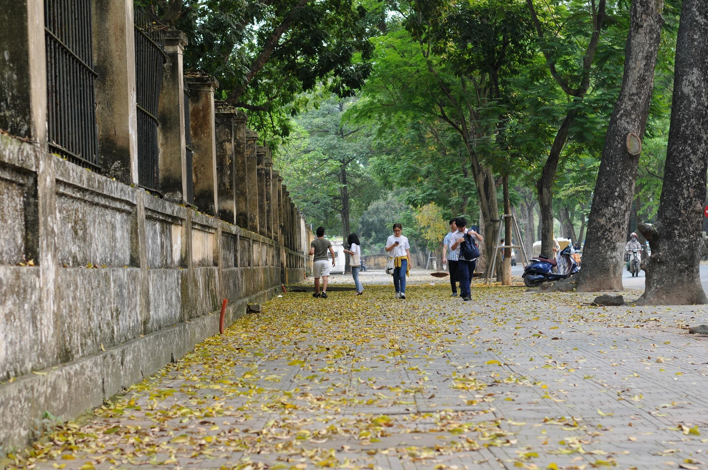 con đường lãng mạn nhất Hà Nội ảnh 12 con duong lang man nhat Ha Noi anh 12