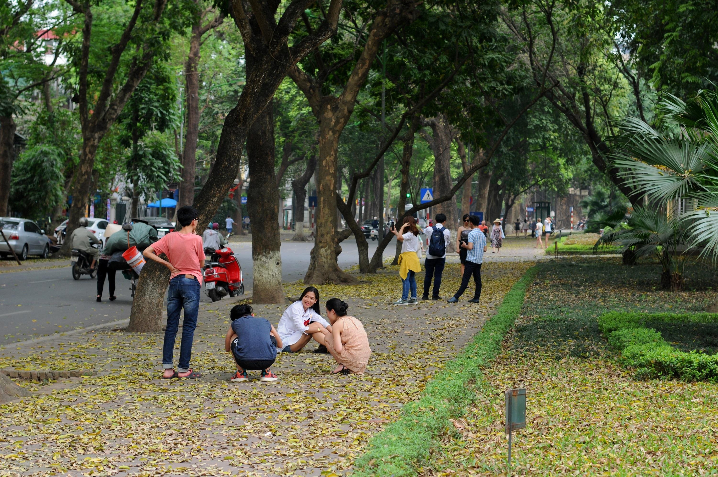 con đường lãng mạn nhất Hà Nội ảnh 13 con duong lang man nhat Ha Noi anh 13