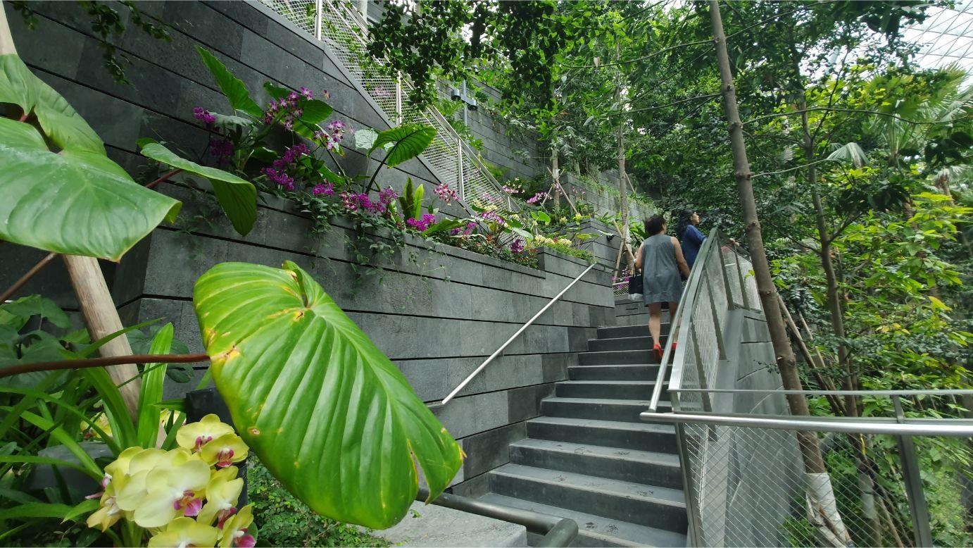 san bay Changi anh 11