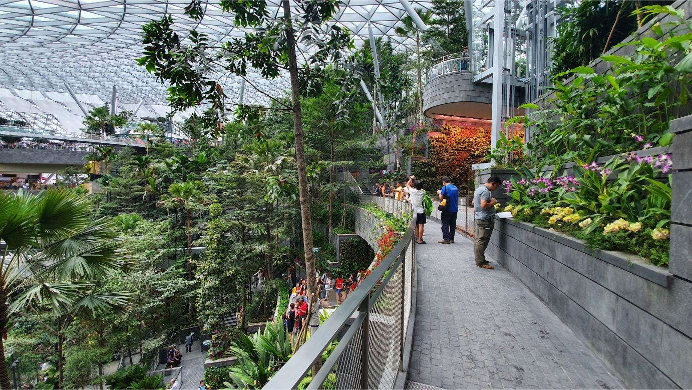 san bay Changi anh 13