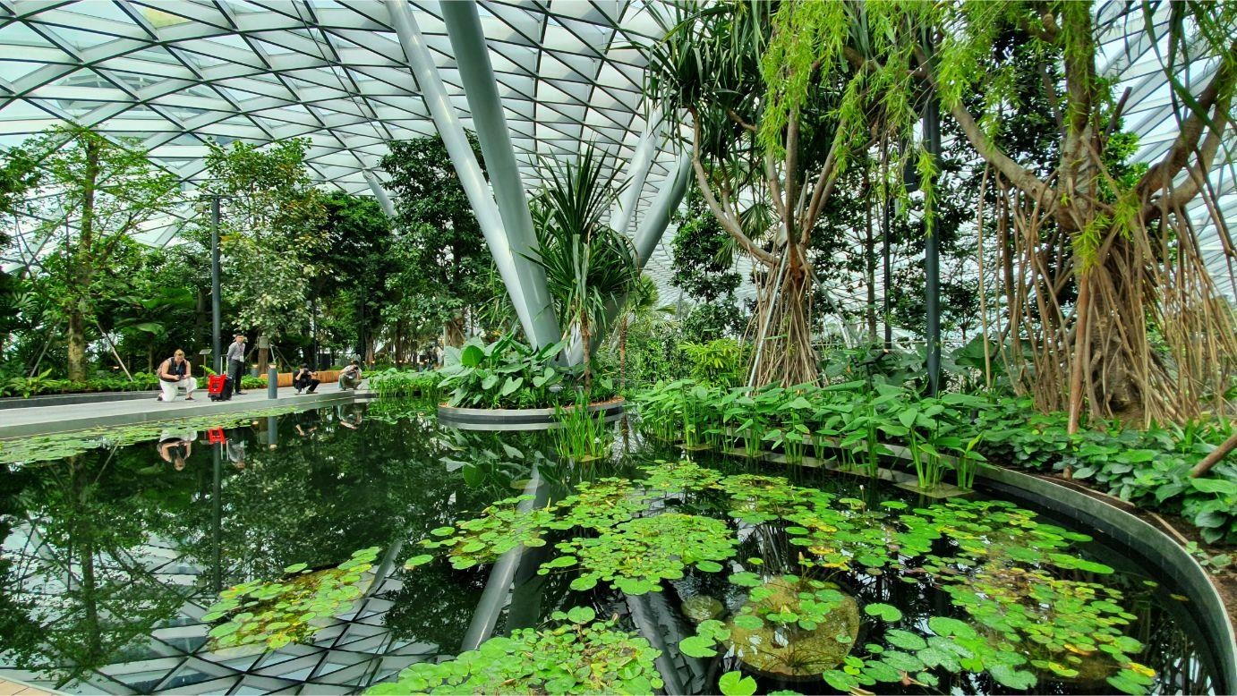 san bay Changi anh 20