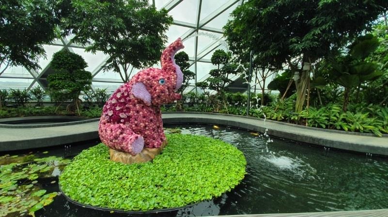 san bay Changi anh 22