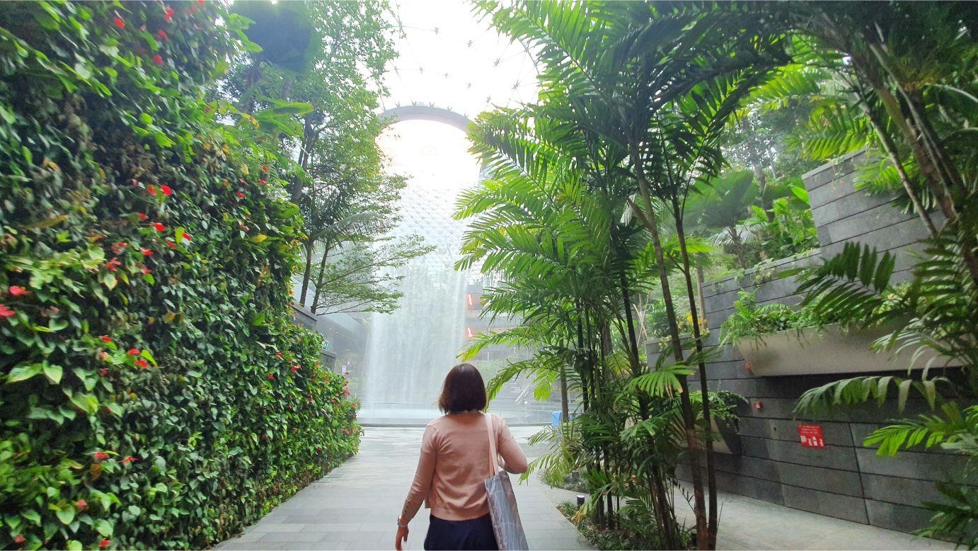 san bay Changi anh 7