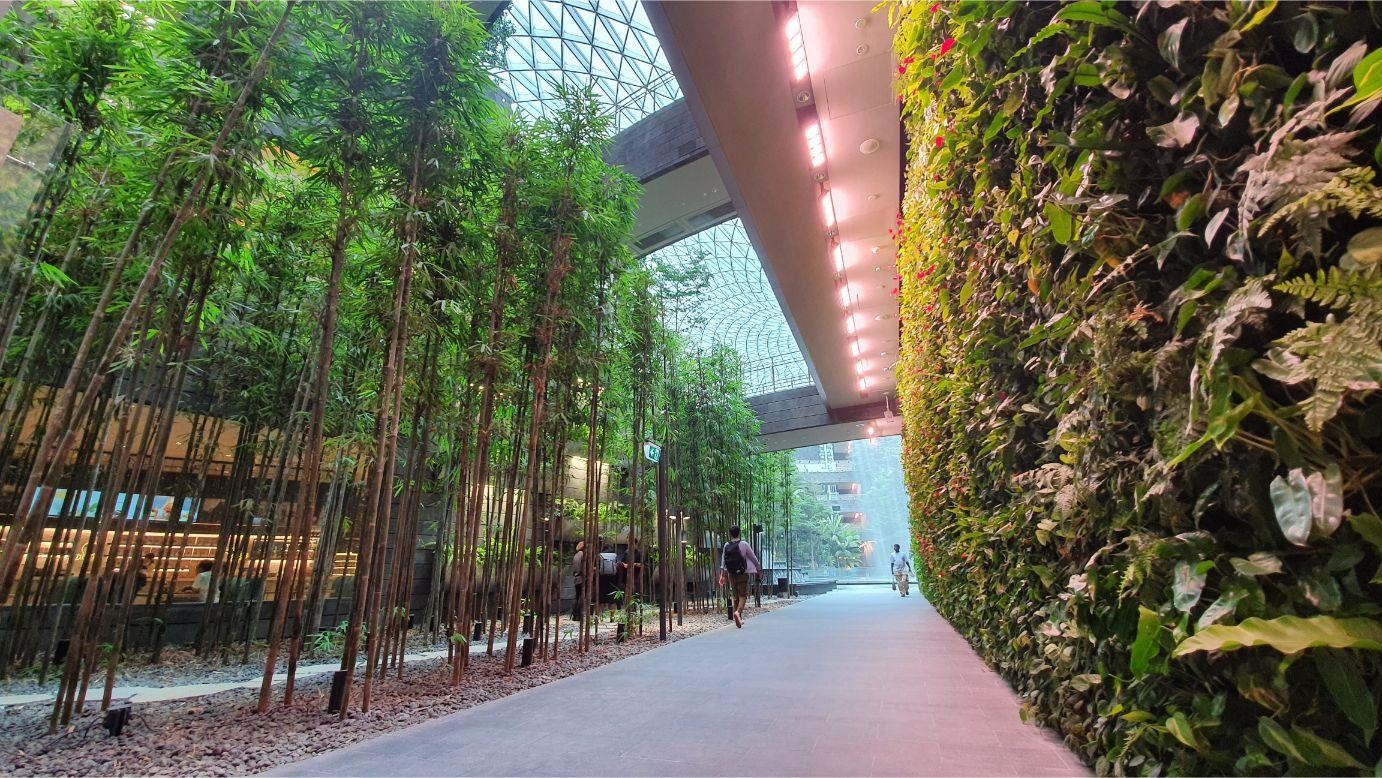 san bay Changi anh 8