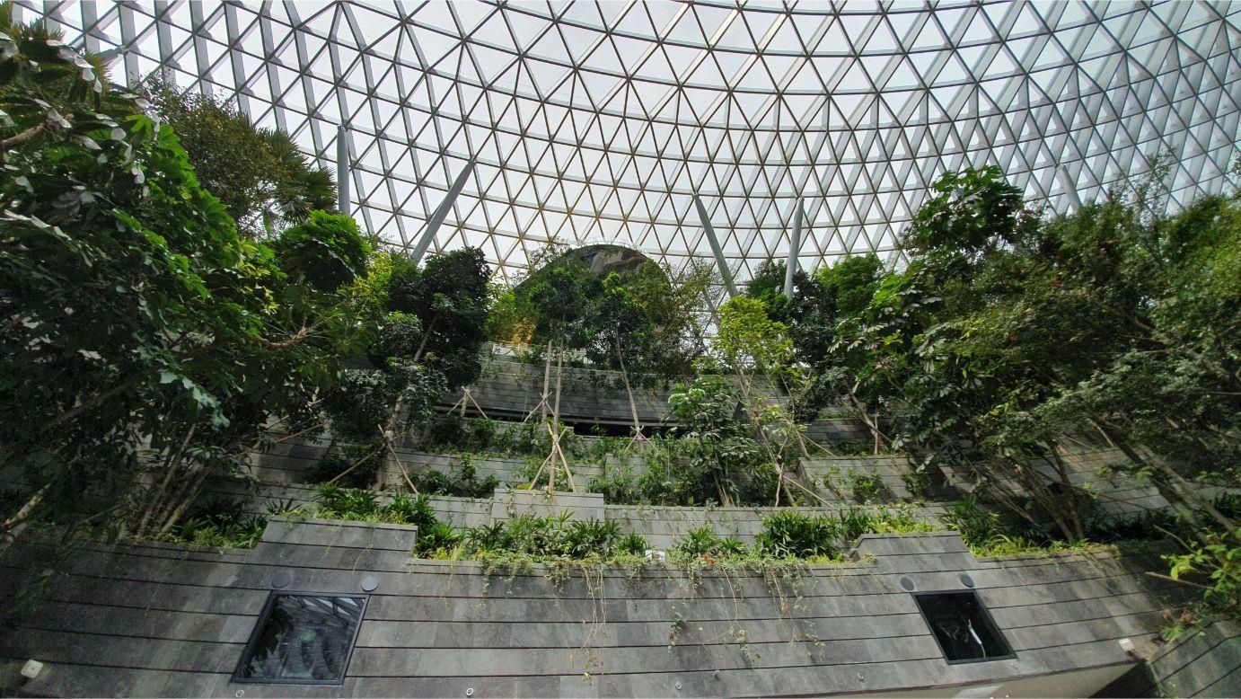 san bay Changi anh 9