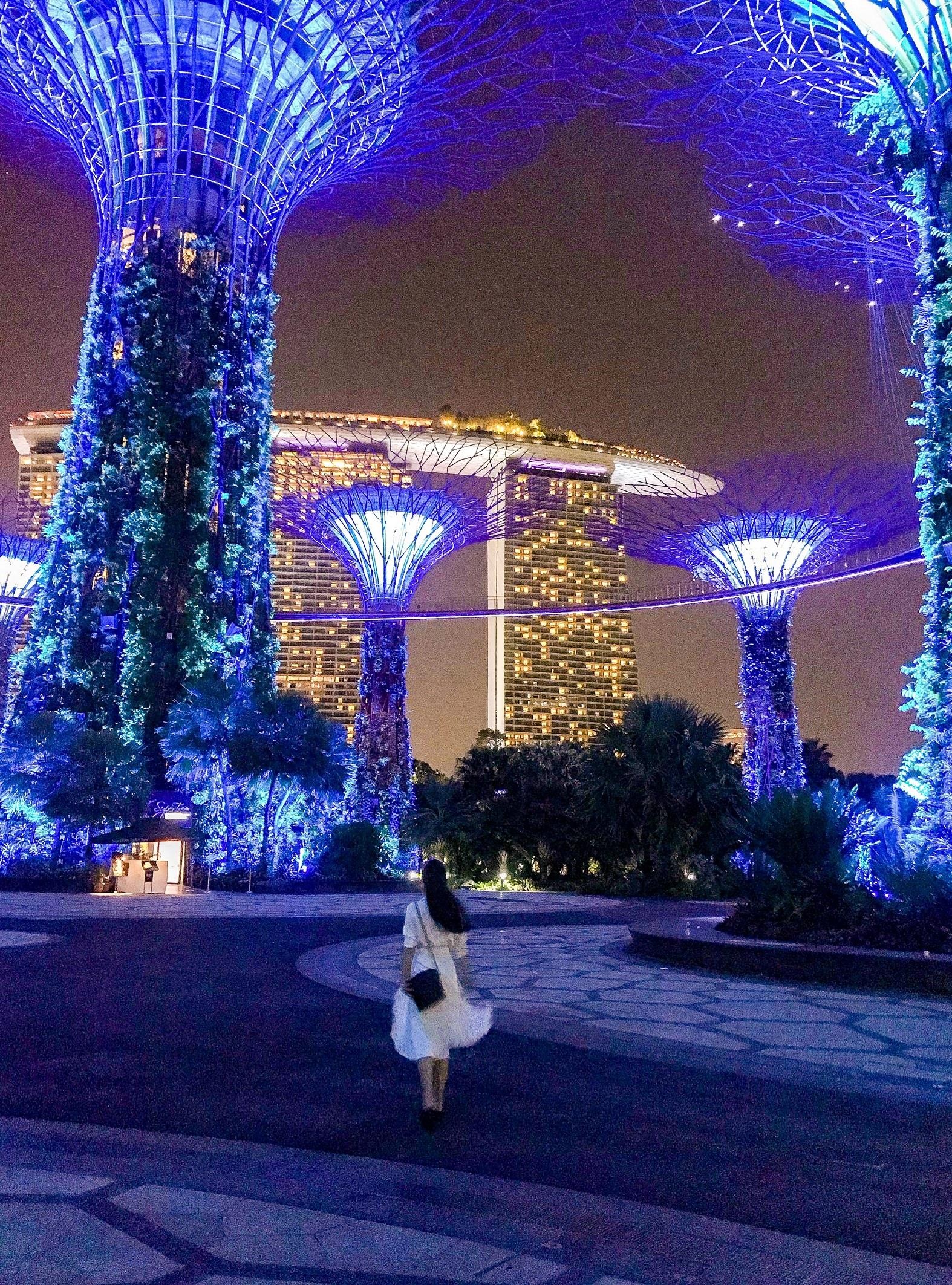 chơi gì ở Singapore ảnh 14 choi gi o Singapore anh 14