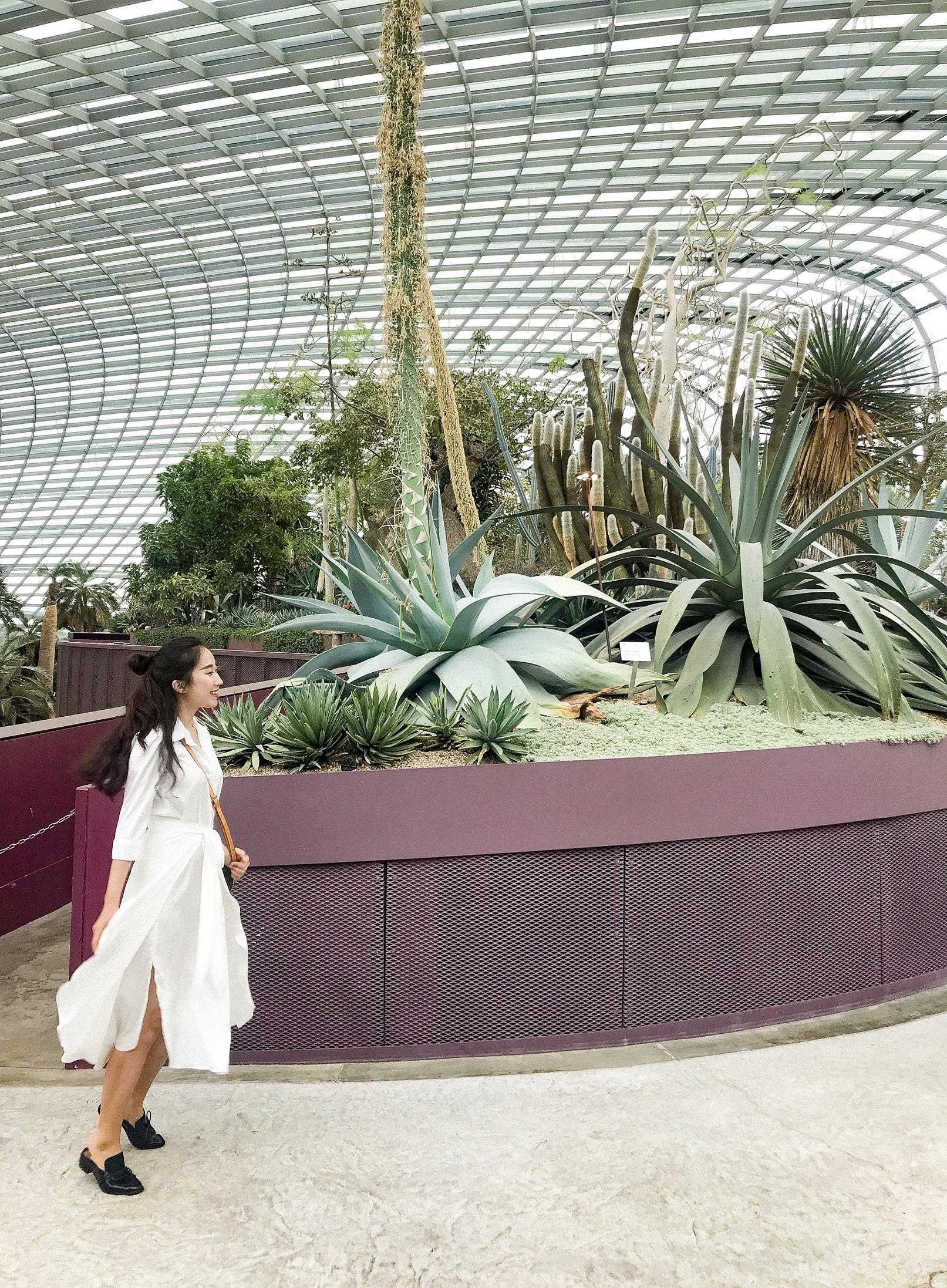 chơi gì ở Singapore ảnh 13 choi gi o Singapore anh 13