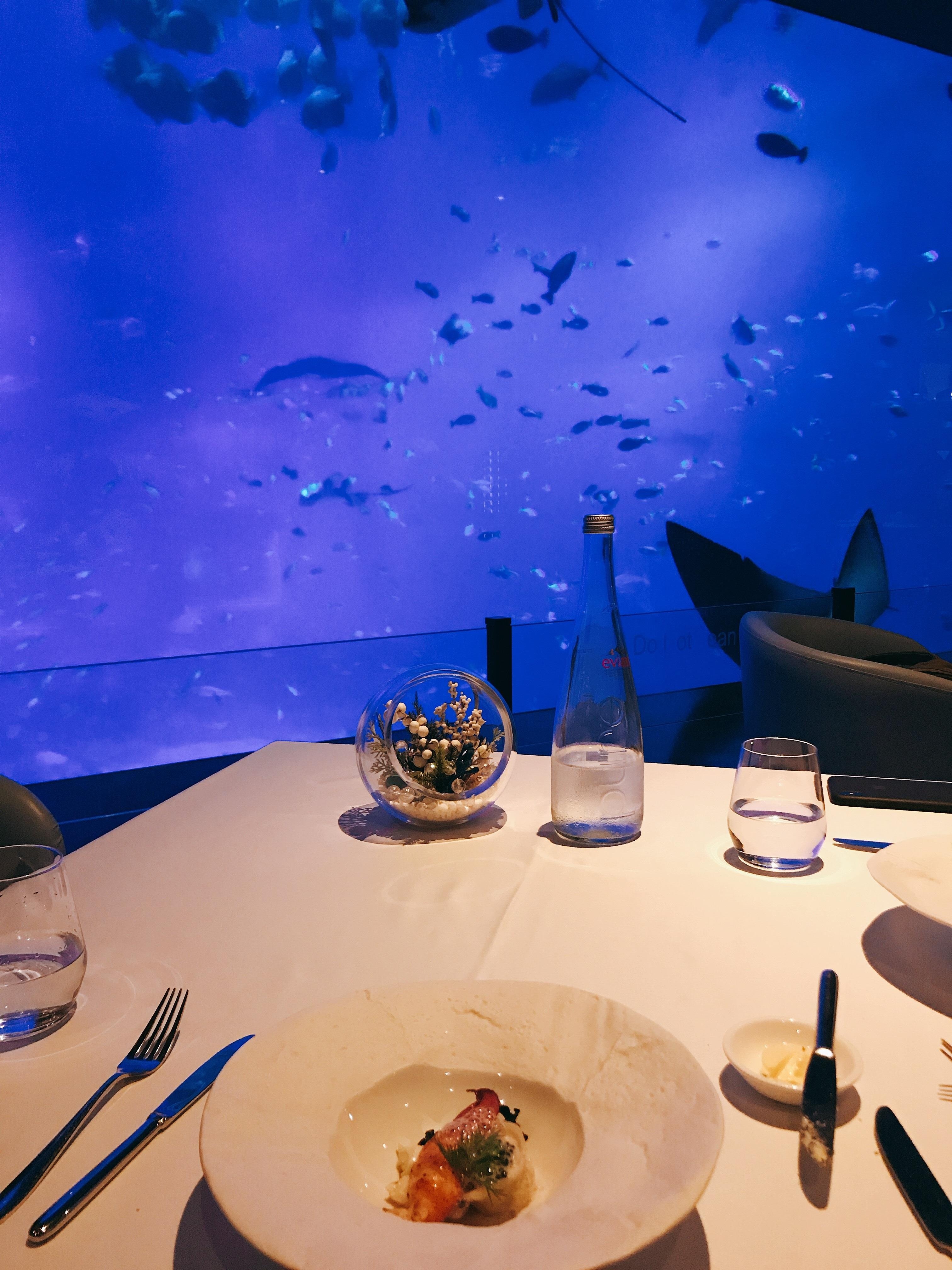 choi gi o Singapore anh 15