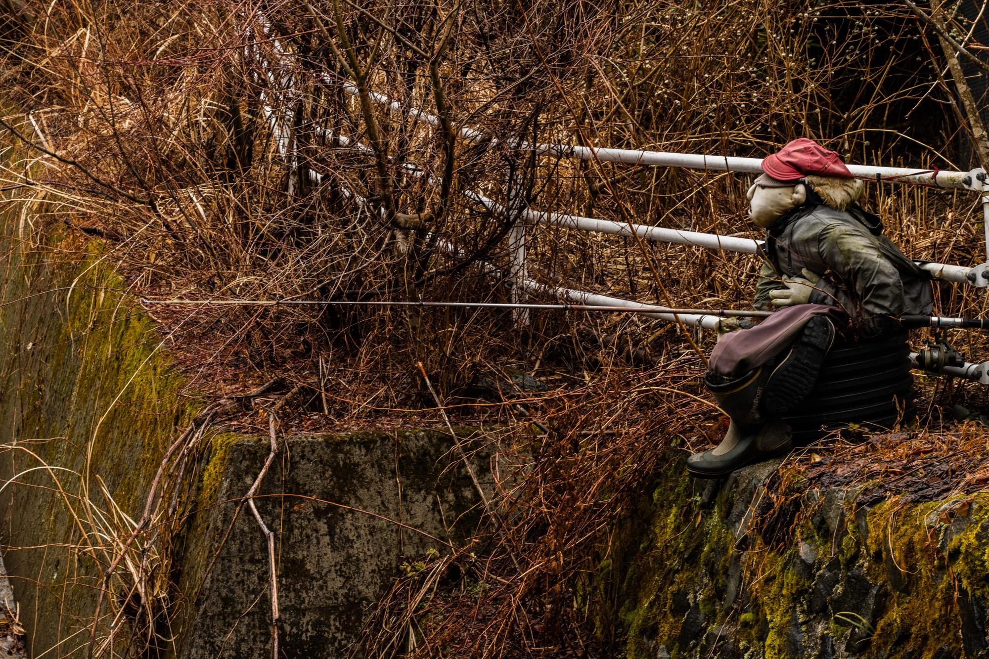 ngoi lang bu nhin anh 5