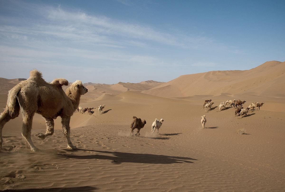 Con duong To Lua dai bao nhieu km anh 6