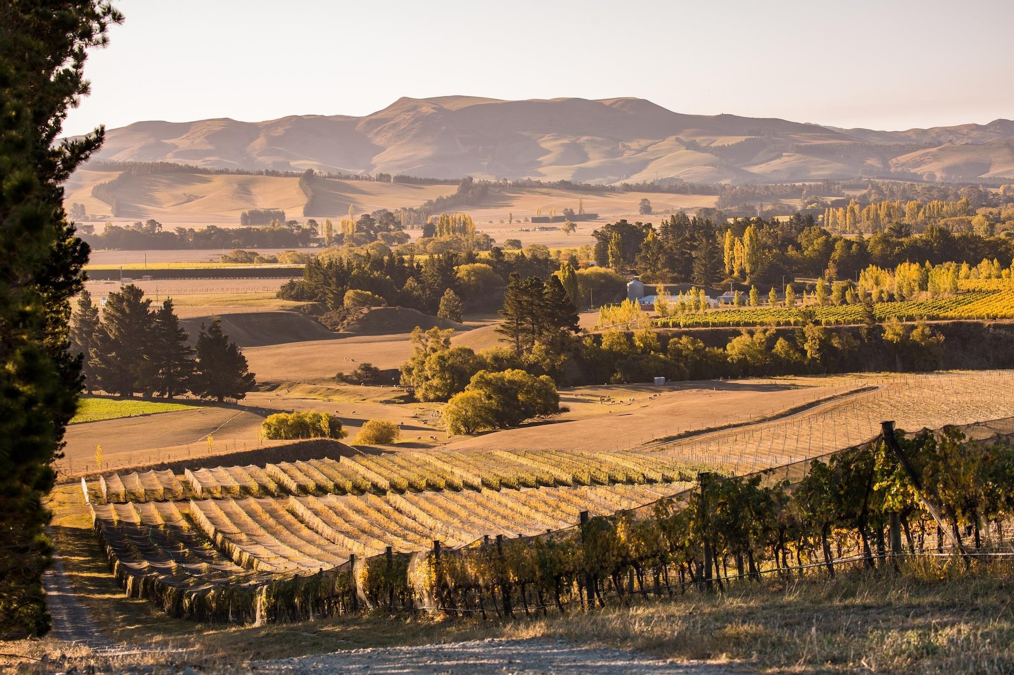 New Zealand thang 5 anh 13