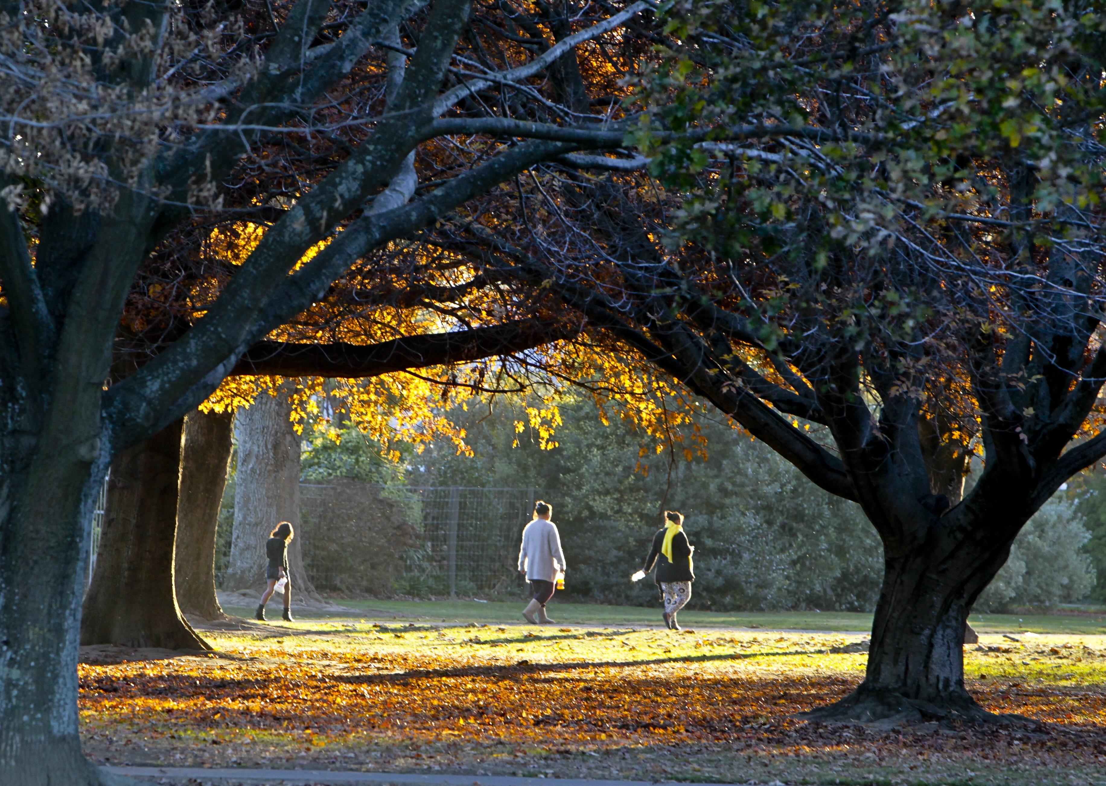 New Zealand thang 5 anh 29