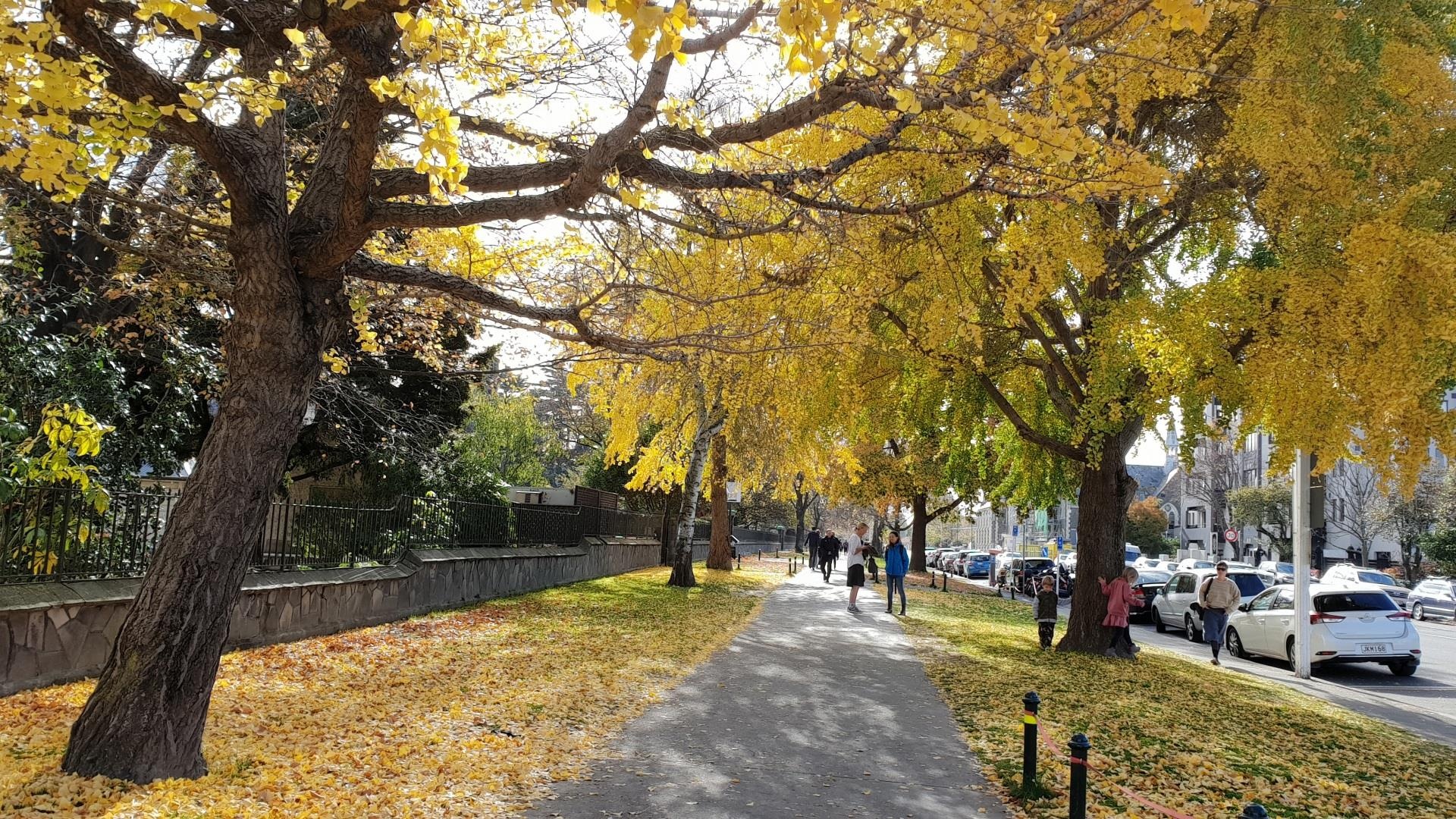 New Zealand thang 5 anh 21