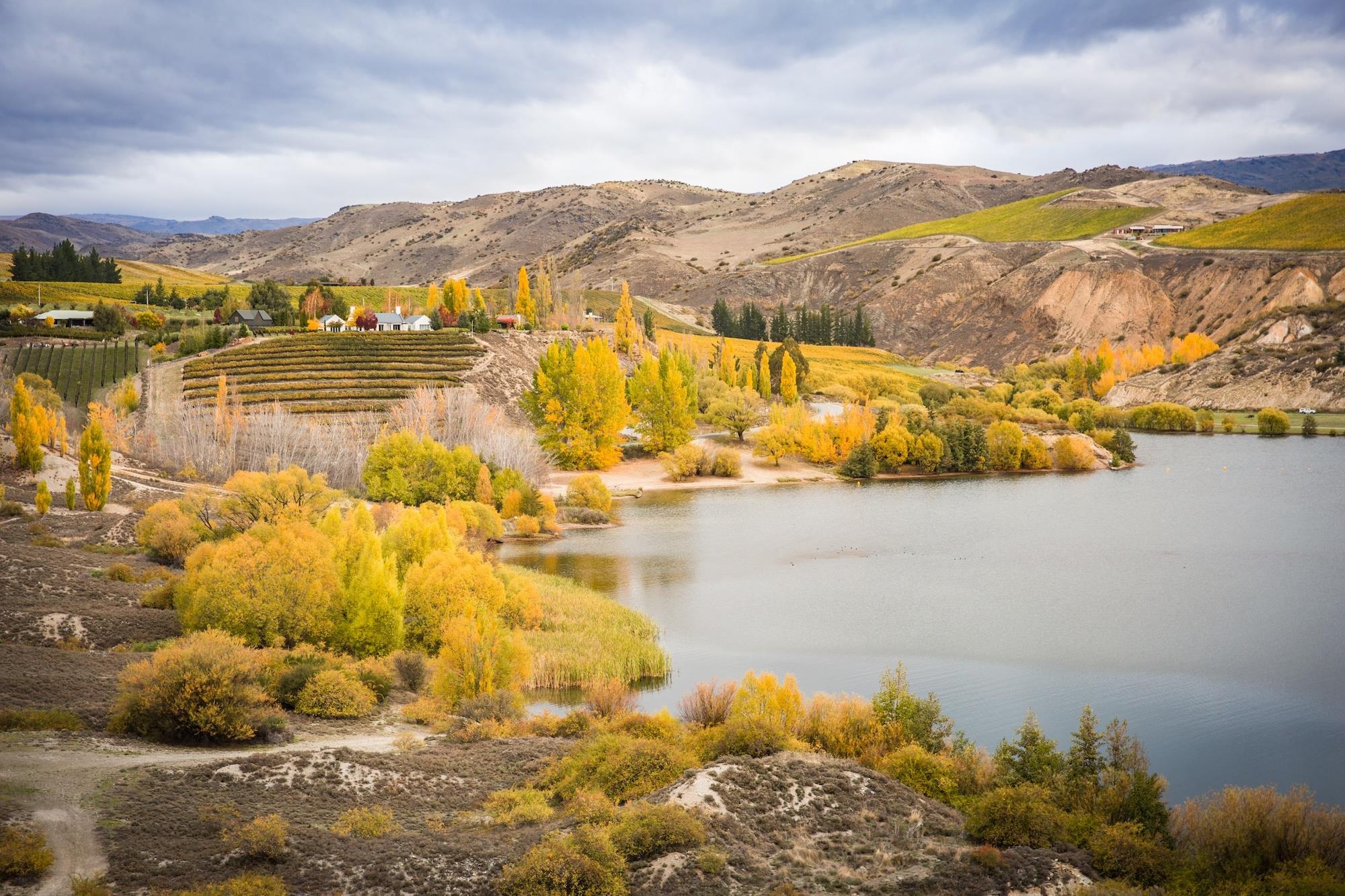 New Zealand thang 5 anh 5