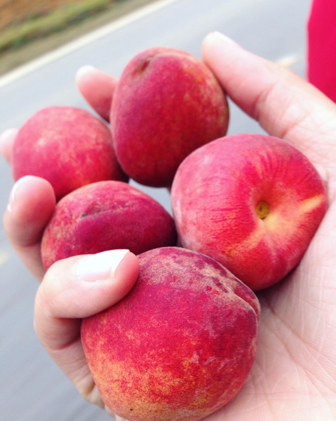 mon an phai thu khi den Moc Chau anh 12