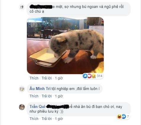 quán cà phê ở Đà Lạt ảnh 2 quan ca phe o Da Lat anh 2