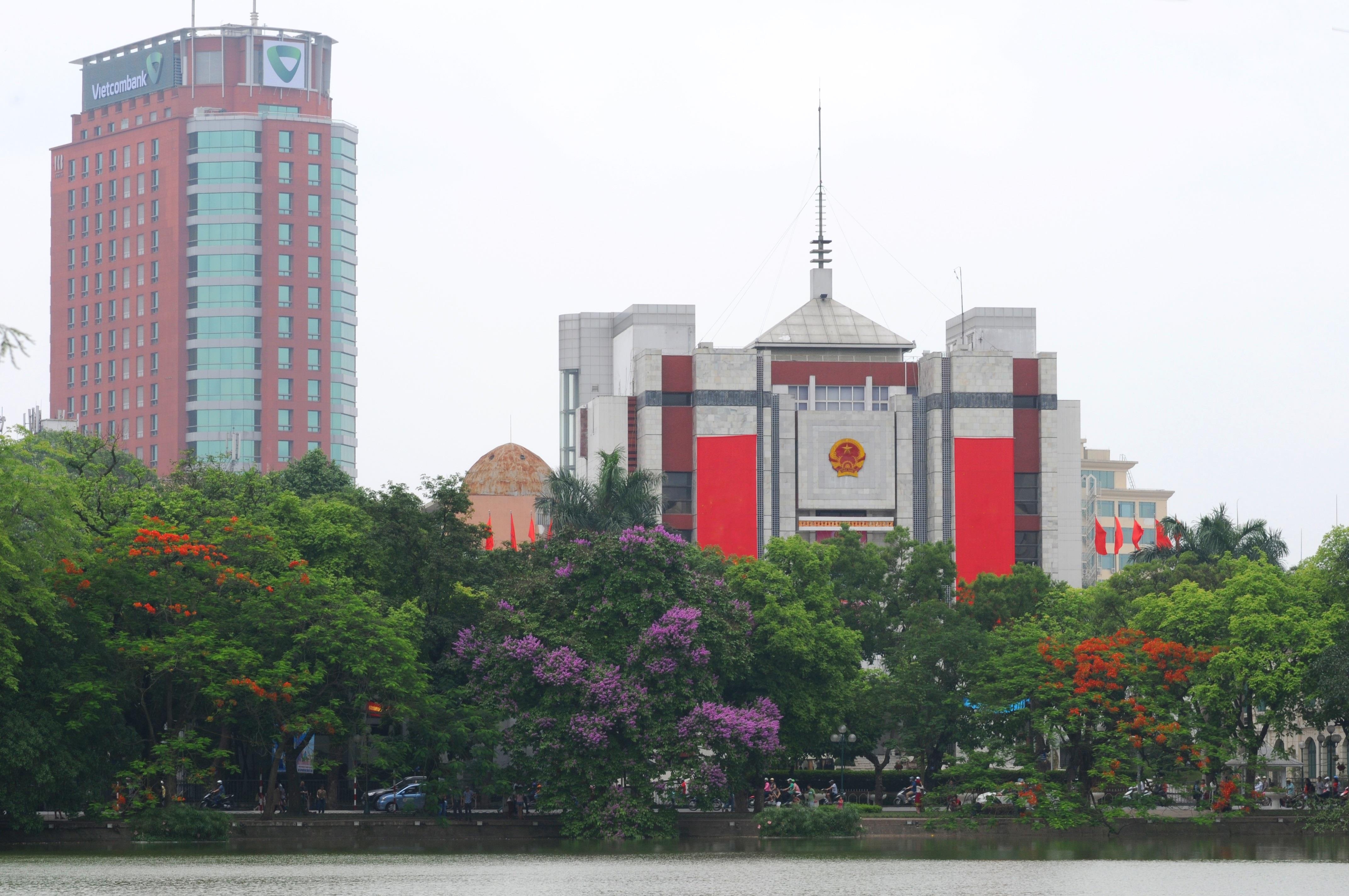 nhung sac hoa mua he anh 10