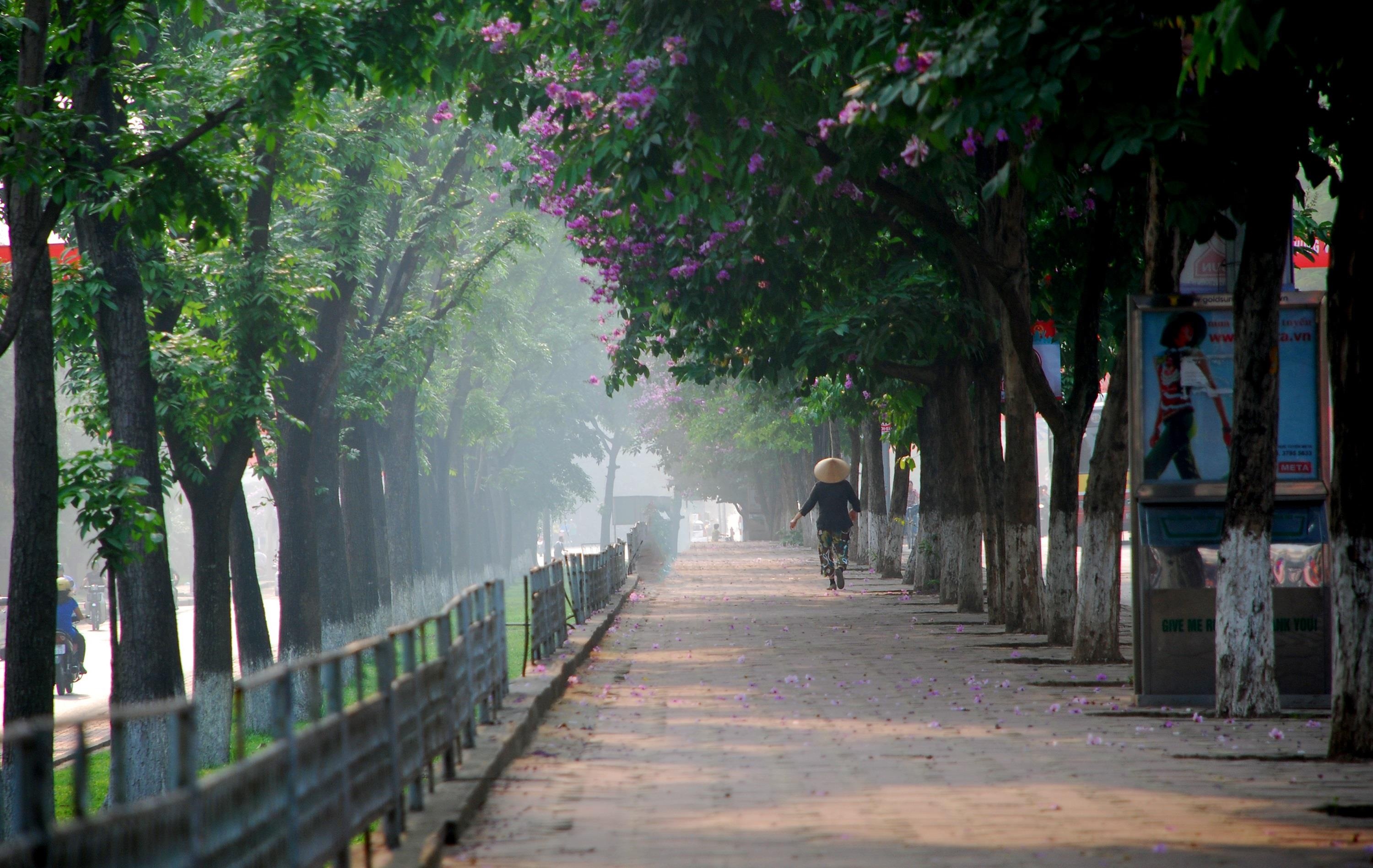 nhung sac hoa mua he anh 13