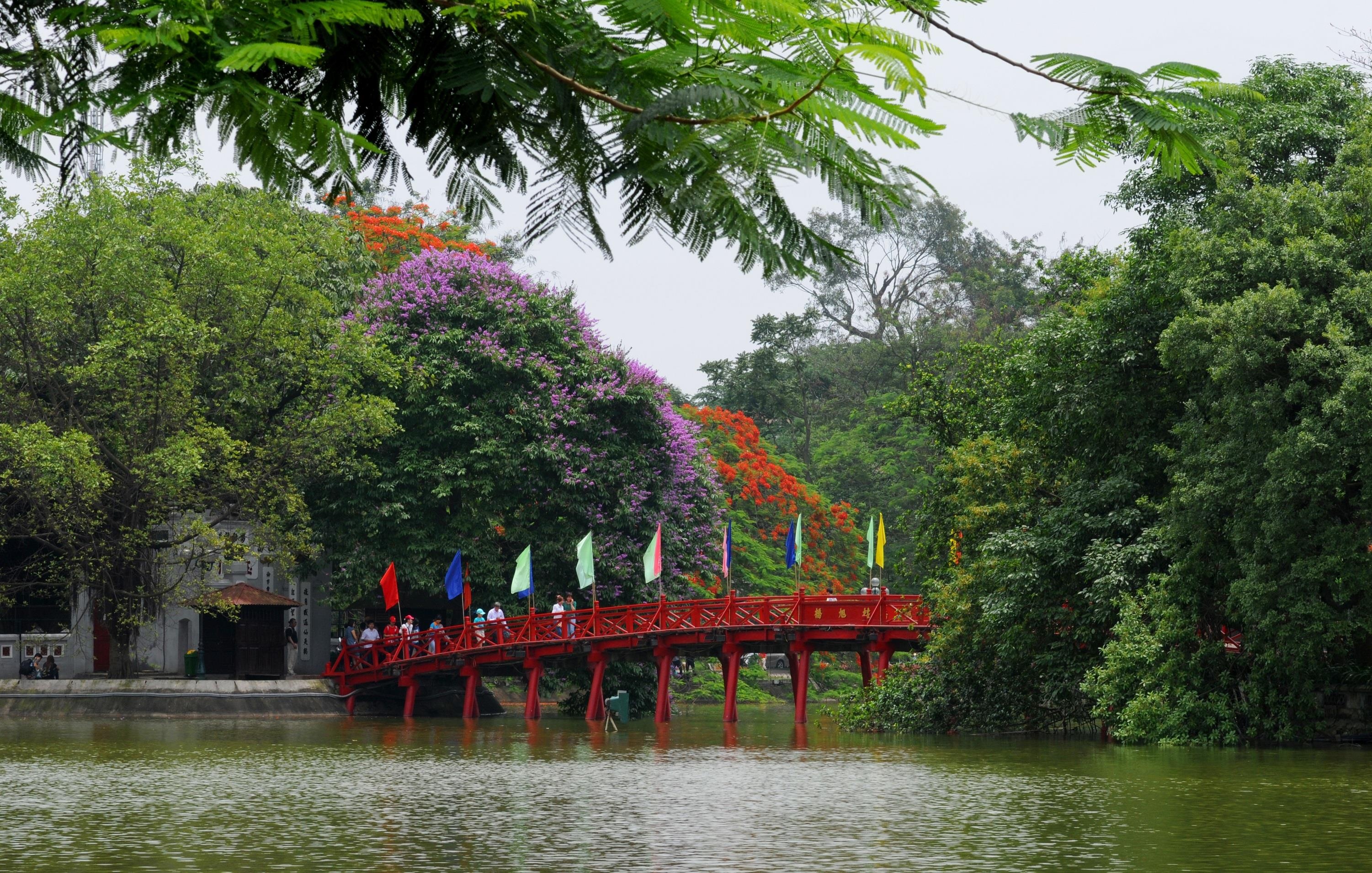 nhung sac hoa mua he anh 2