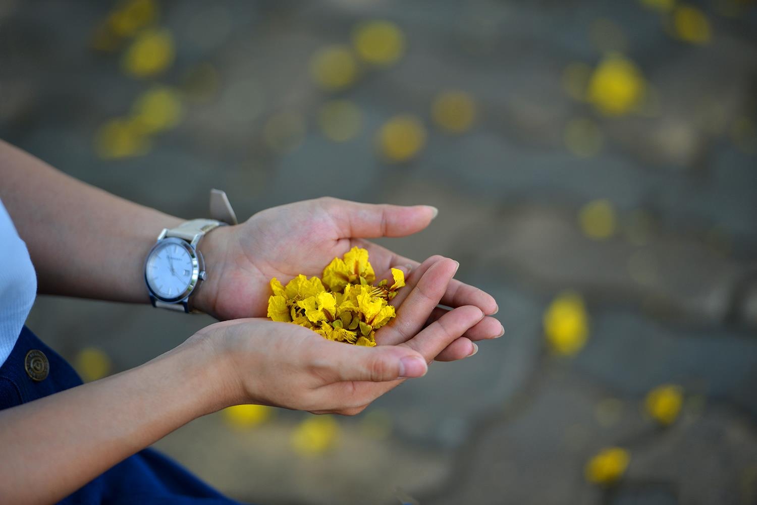 nhung sac hoa mua he anh 31