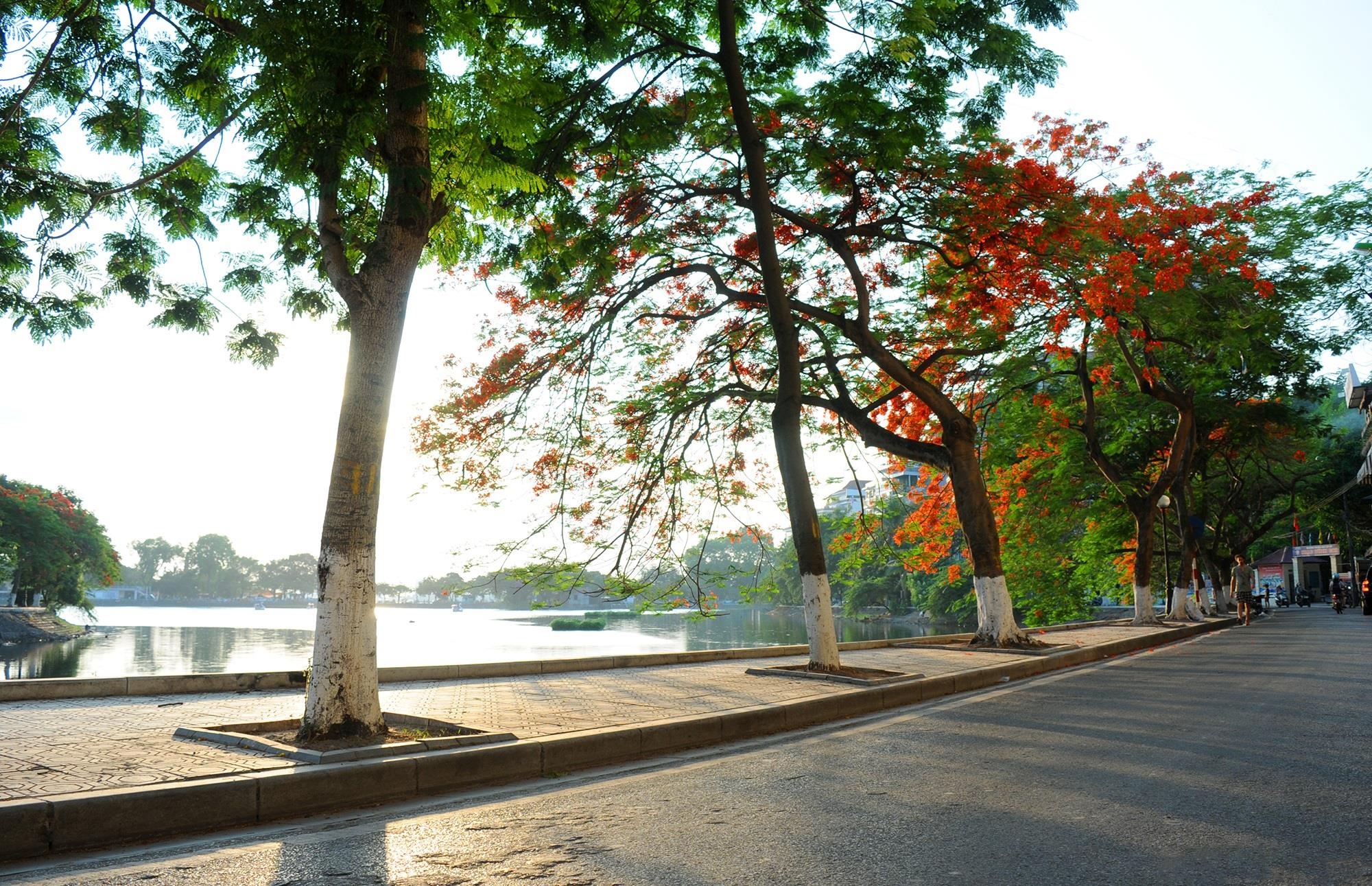 nhung sac hoa mua he anh 17