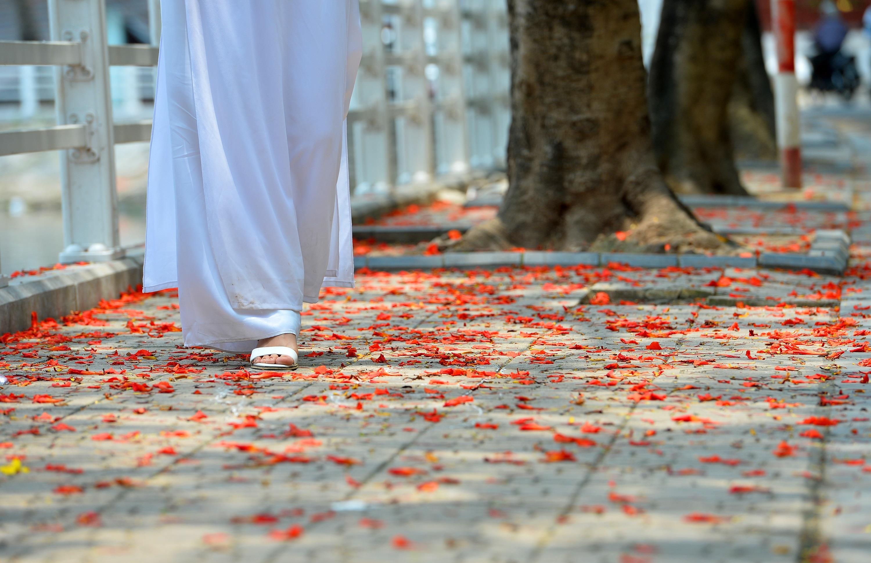 nhung sac hoa mua he anh 21