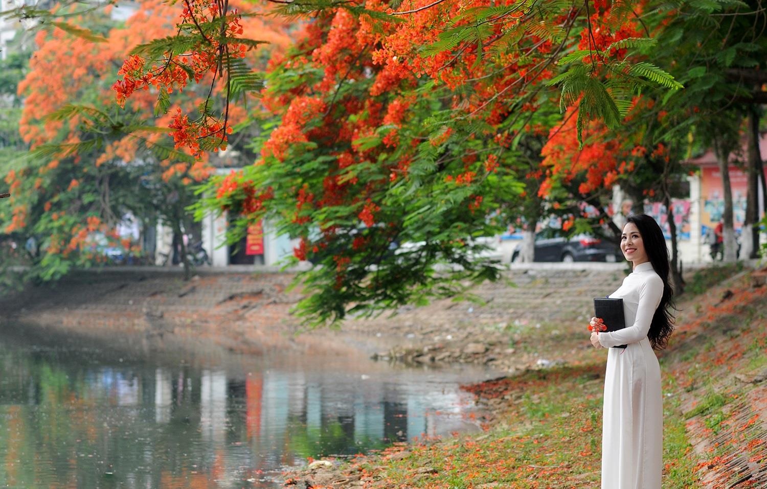 nhung sac hoa mua he anh 24