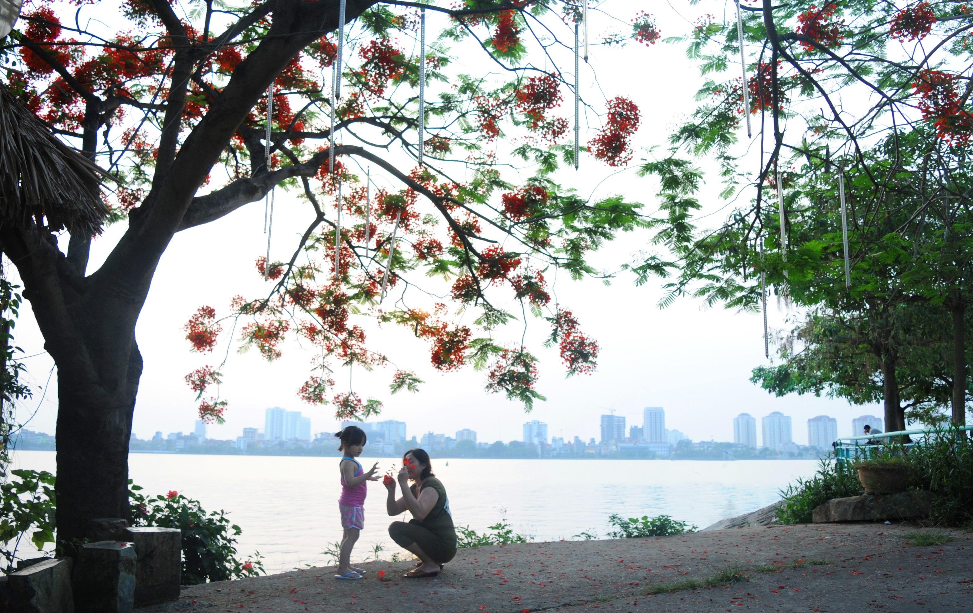 nhung sac hoa mua he anh 15