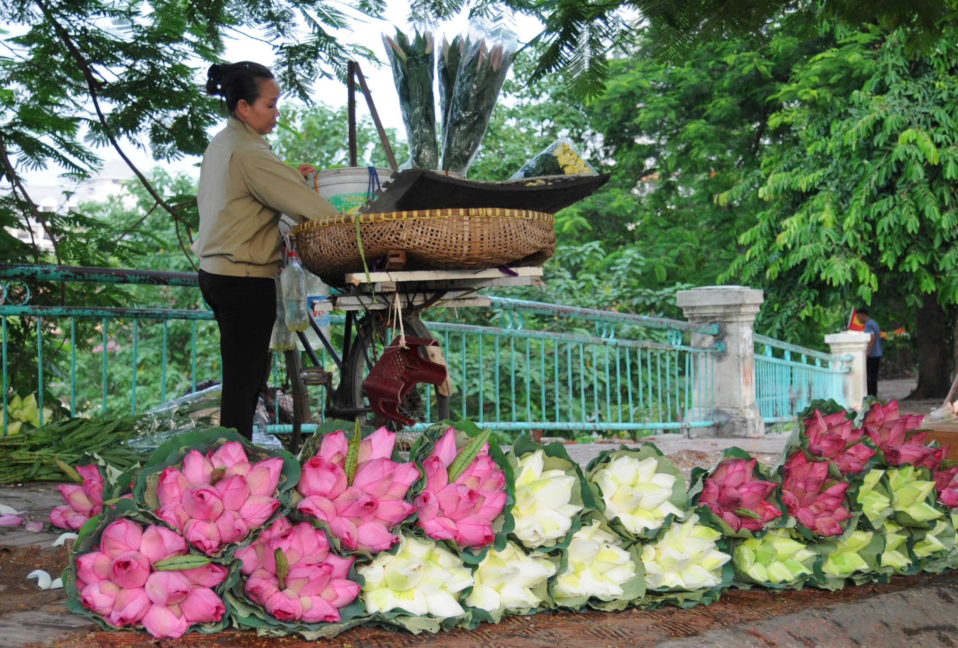 nhung sac hoa mua he anh 38