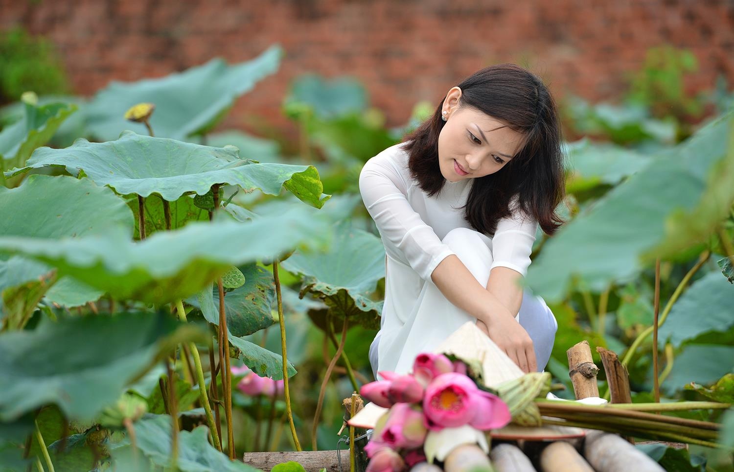 nhung sac hoa mua he anh 50