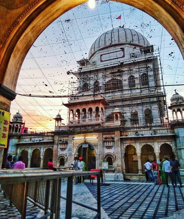 Den tho chuot o An Do anh 8