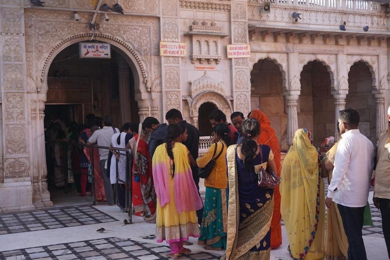 Den tho chuot o An Do anh 2