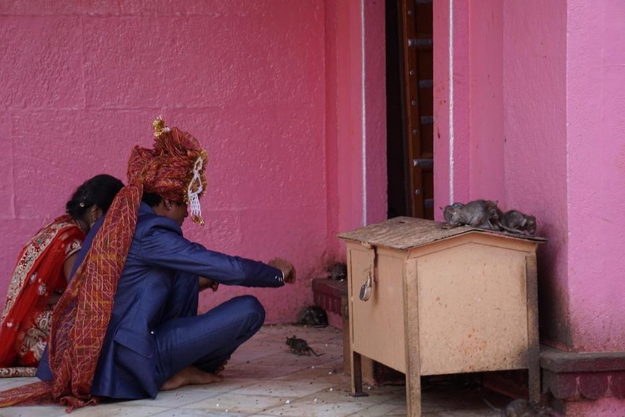 Den tho chuot o An Do anh 6