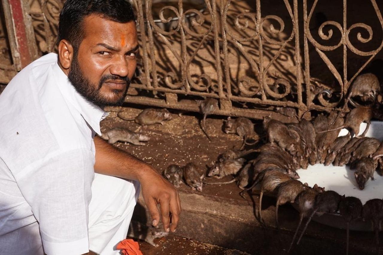 Den tho chuot o An Do anh 11