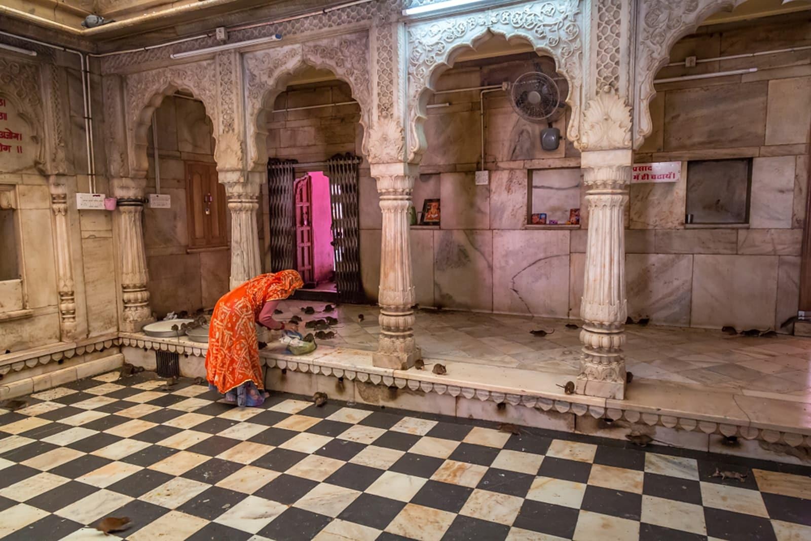 Den tho chuot o An Do anh 17