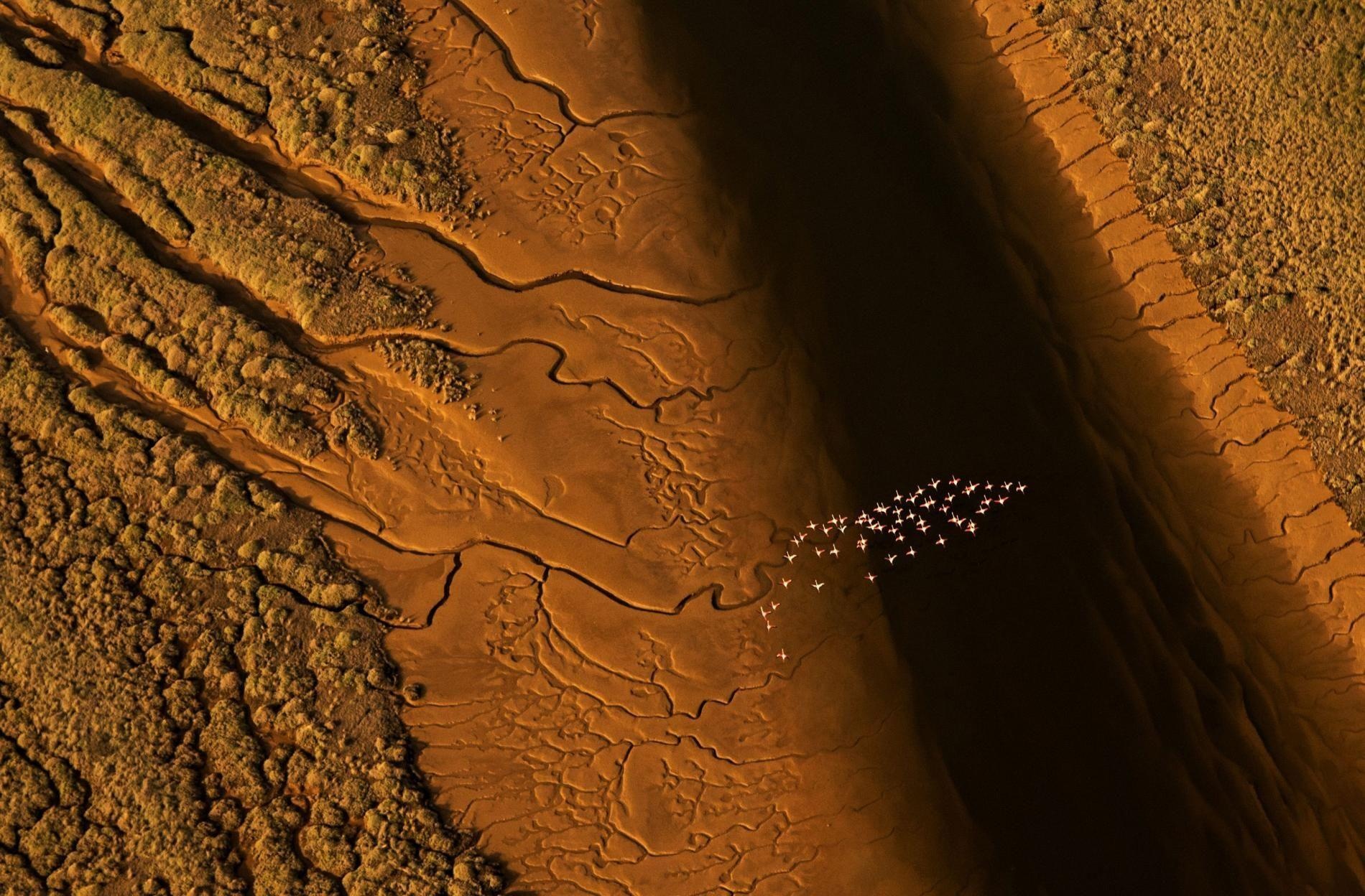 goc nhin la tu tren cao anh 10